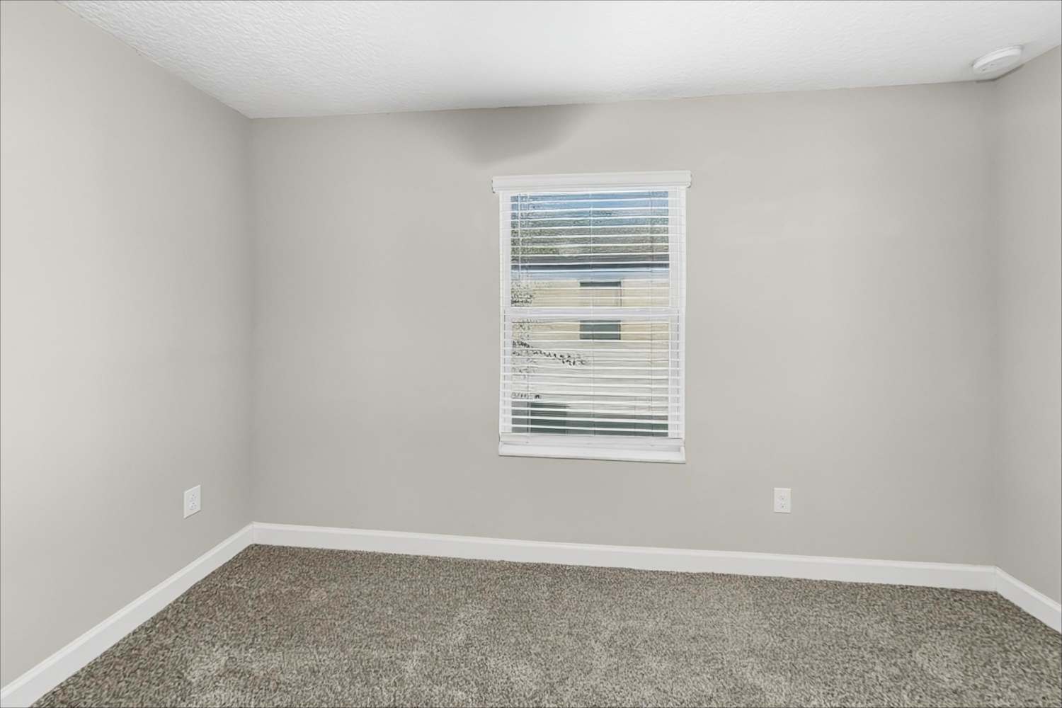 2844 Coach Manors Wy, New Port Richey photo 17