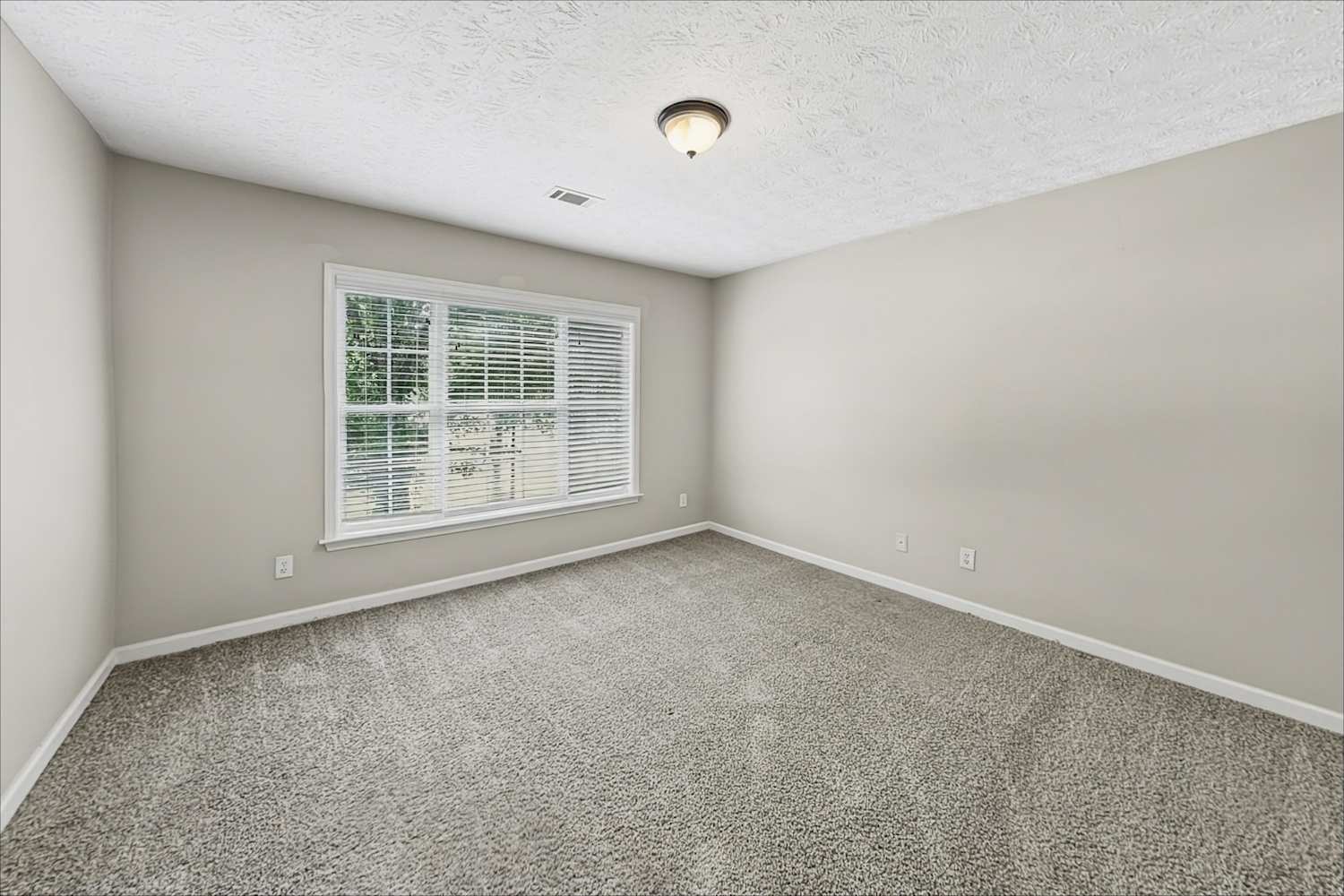 2900 Cooper Woods Dr, Loganville photo 16