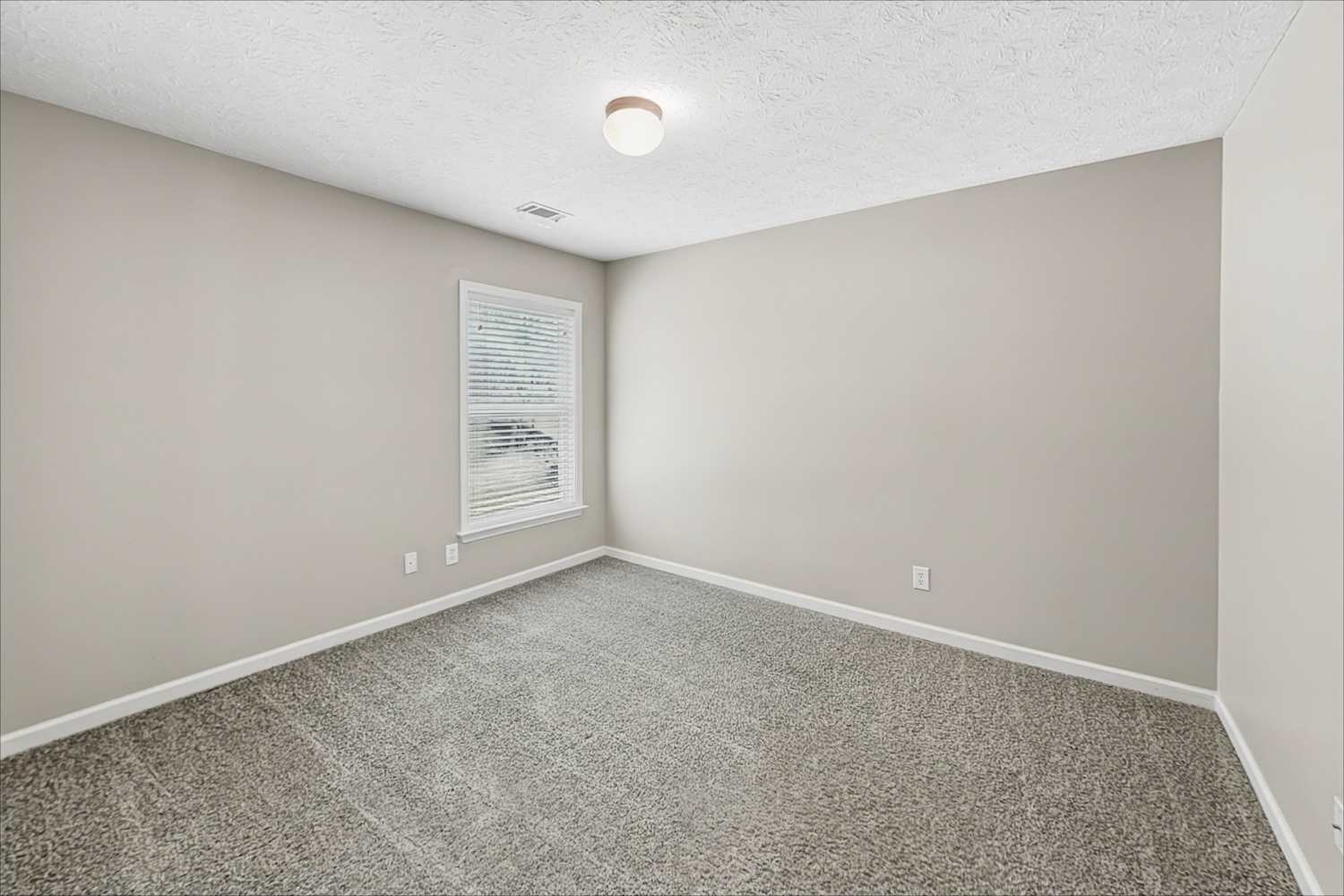 2900 Cooper Woods Dr, Loganville photo 19