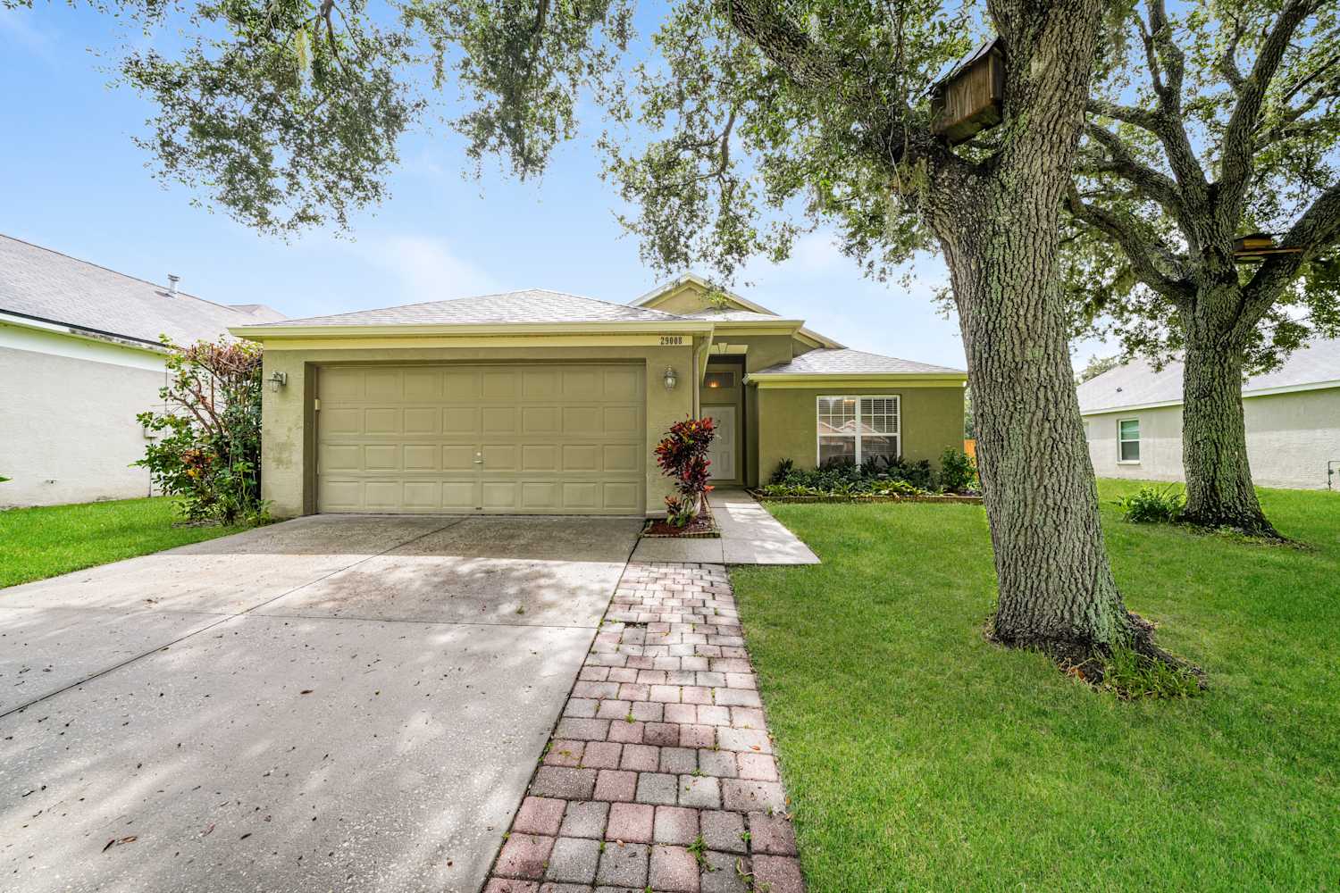 29008 Old Marsh End, Wesley Chapel photo 1