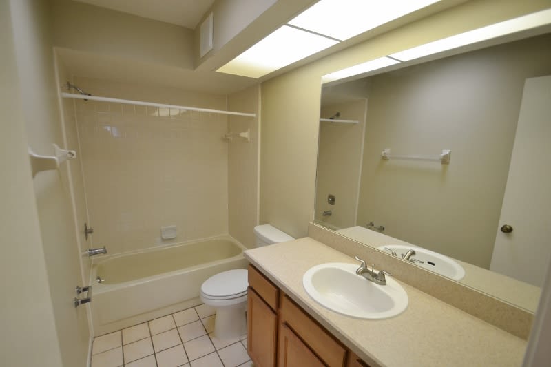 2931 Autumnwood Trl, Apopka photo 8