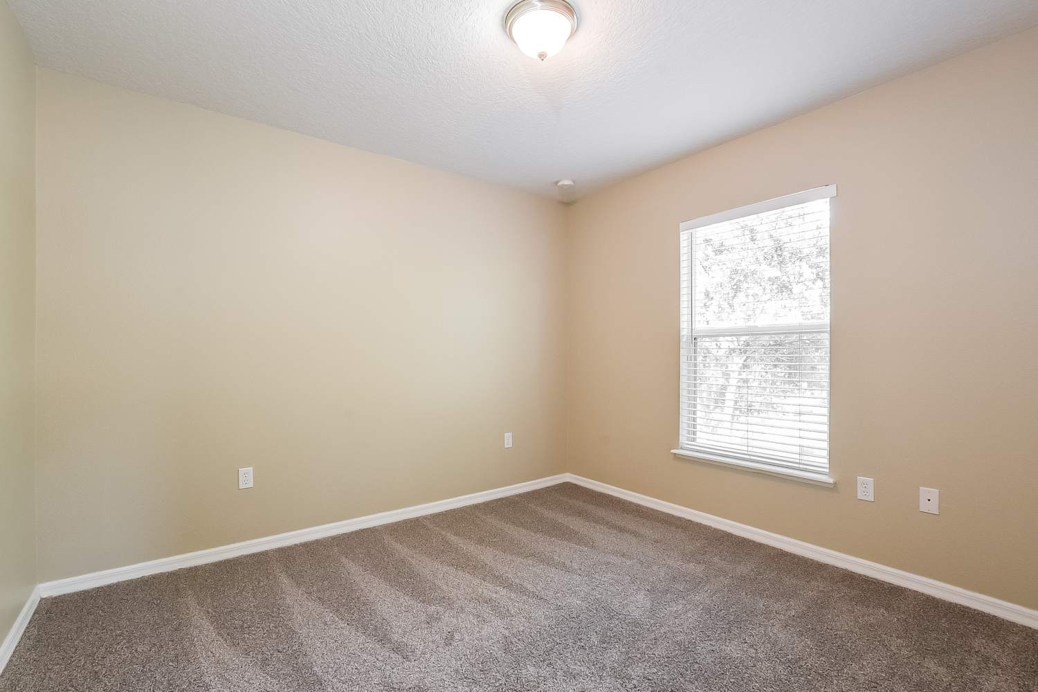2949 Magnolia Blossom Cir, Clermont photo 13