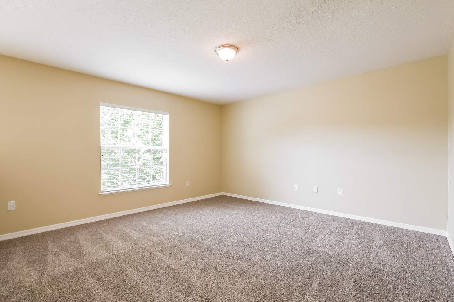 2949 Magnolia Blossom Cir, Clermont photo 11