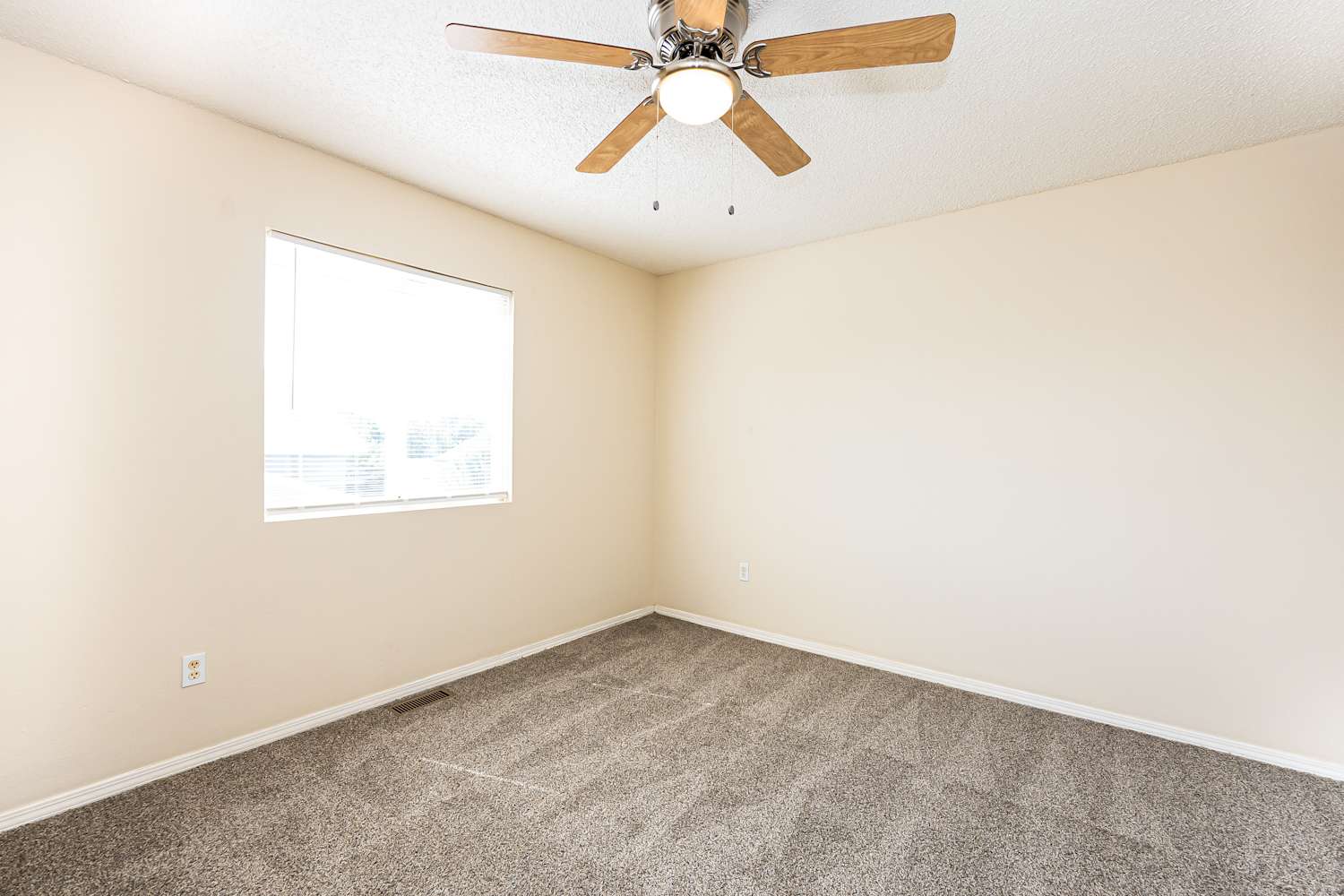 2990 Frazier Ln, Colorado Springs photo 14