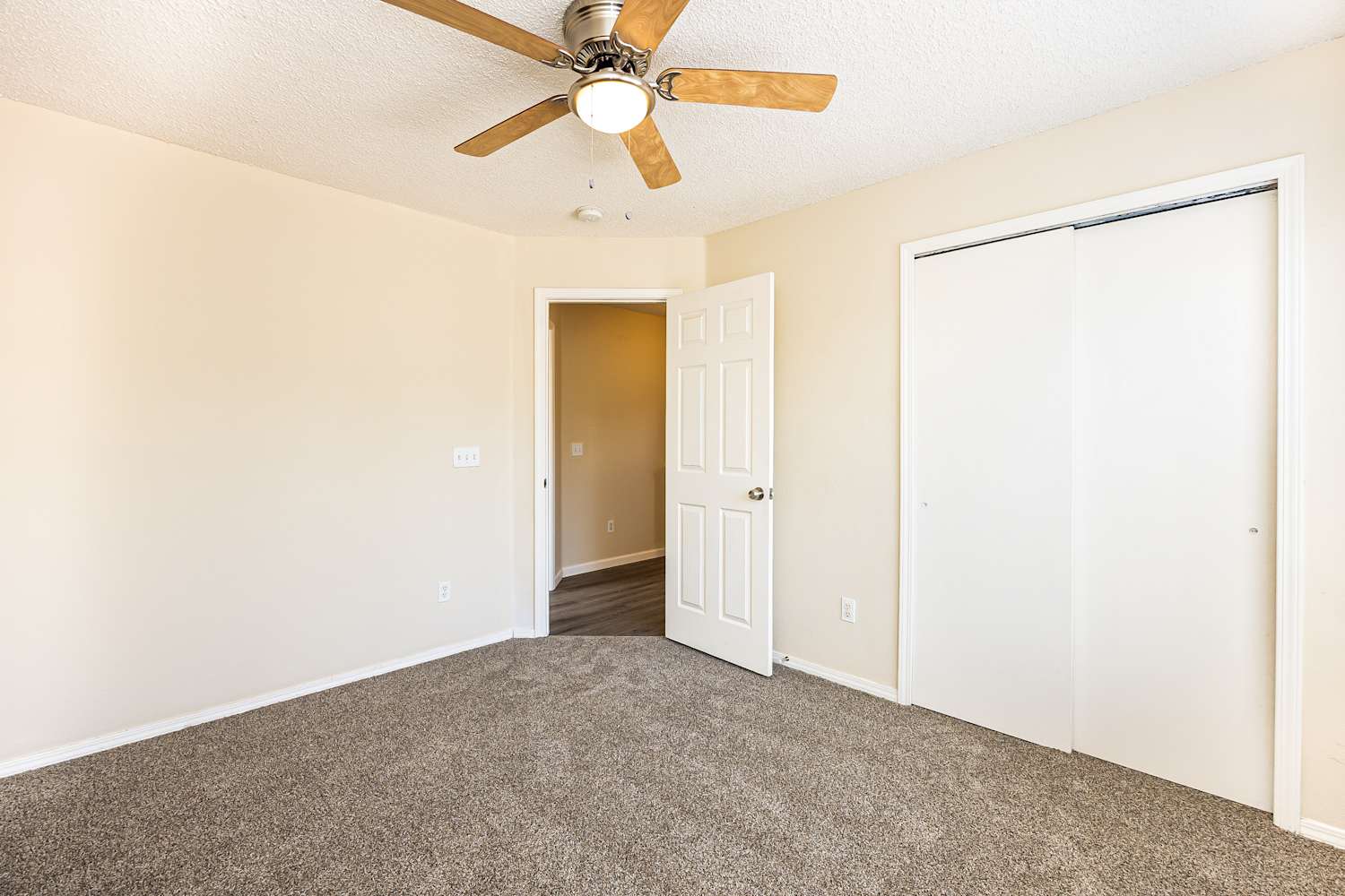 2990 Frazier Ln, Colorado Springs photo 11
