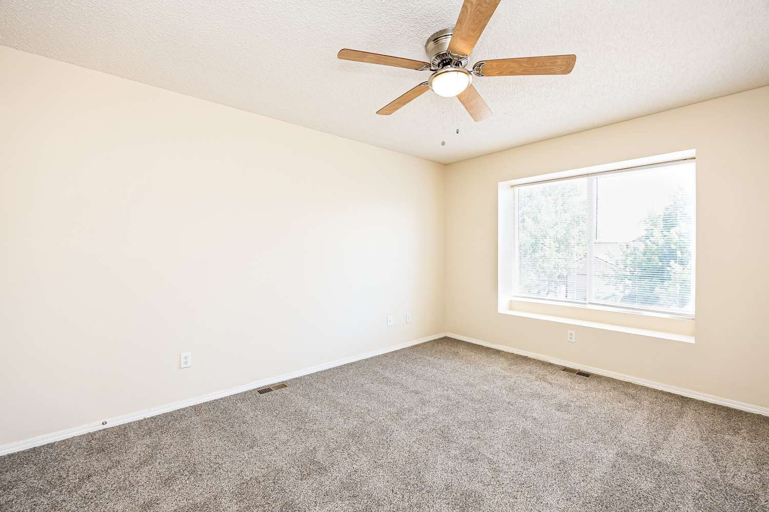 2990 Frazier Ln, Colorado Springs photo 12