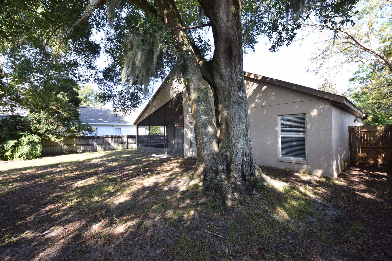 300 Balogh Pl, Longwood photo 8