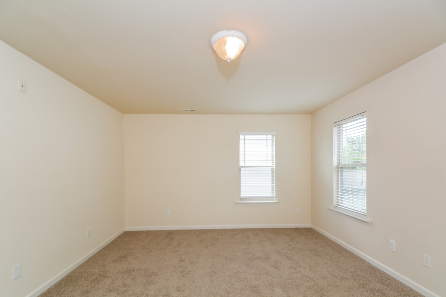 3006 Fern Cottage Ln, Knightdale photo 10