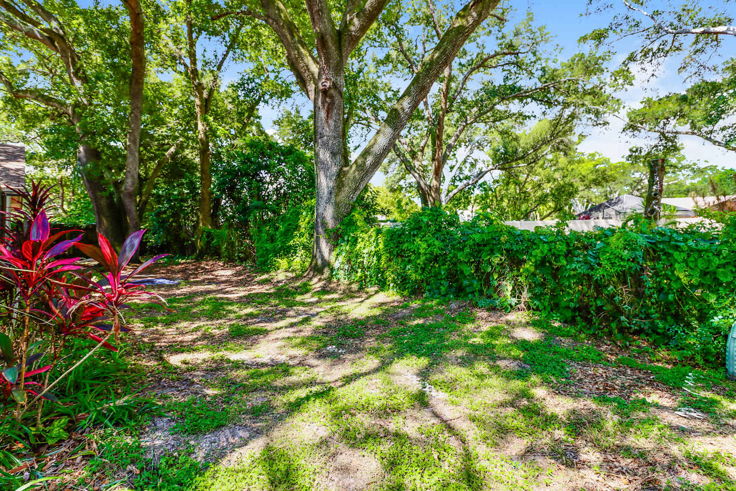 3039 Egret Ter, Safety Harbor photo 16