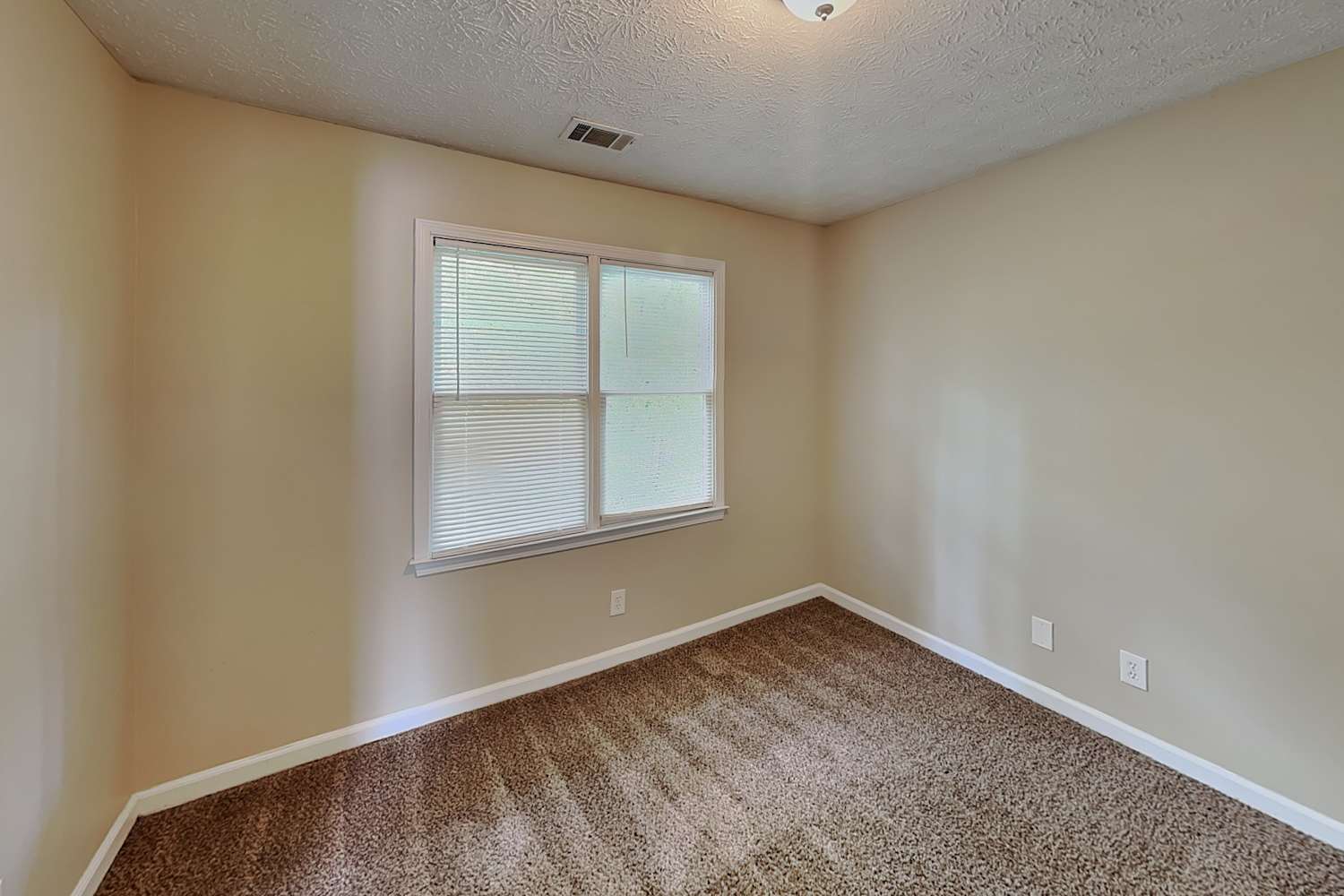 305 Mary Alice Dr, Winder photo 13