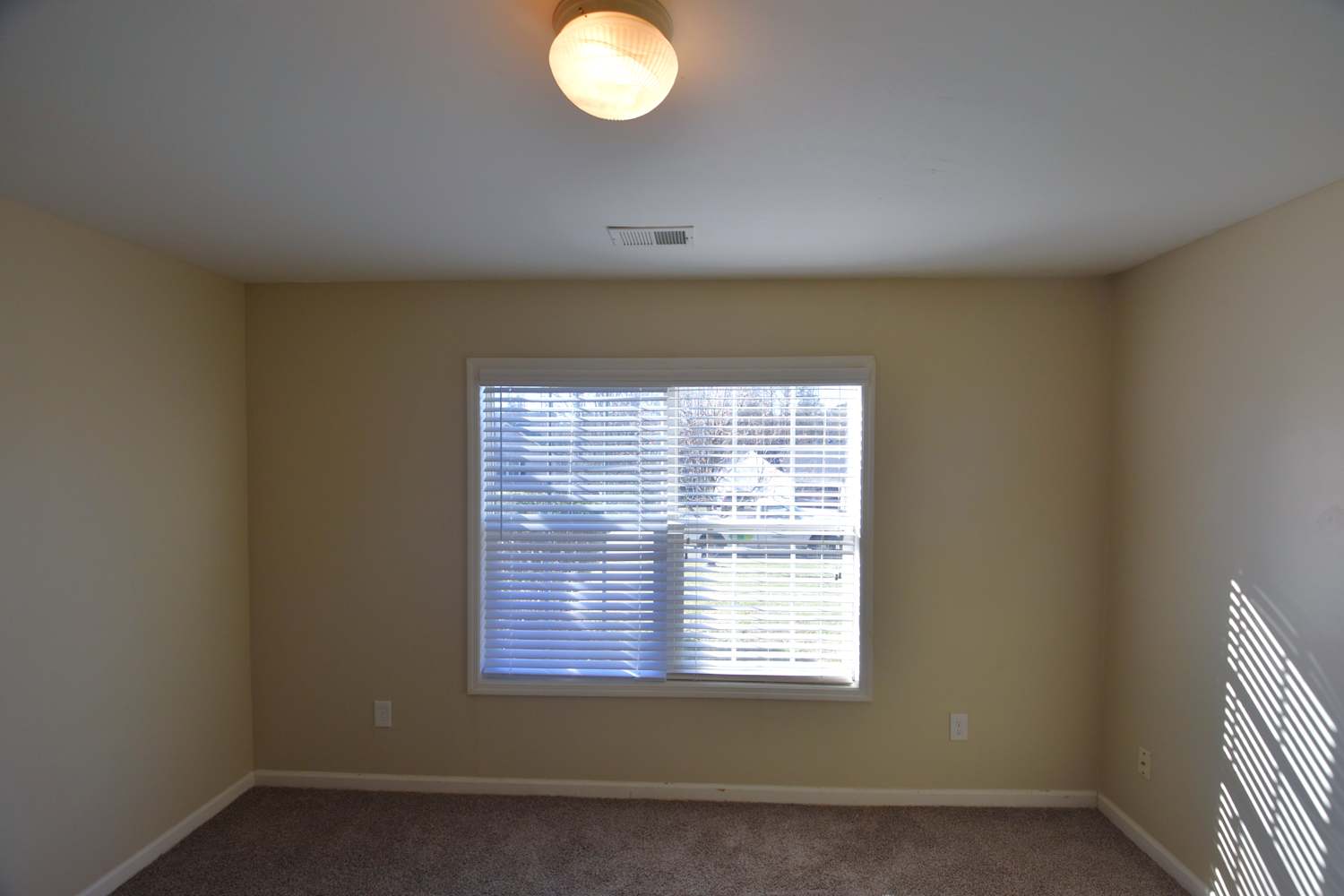 309 Ryan Rd, Winder photo 7