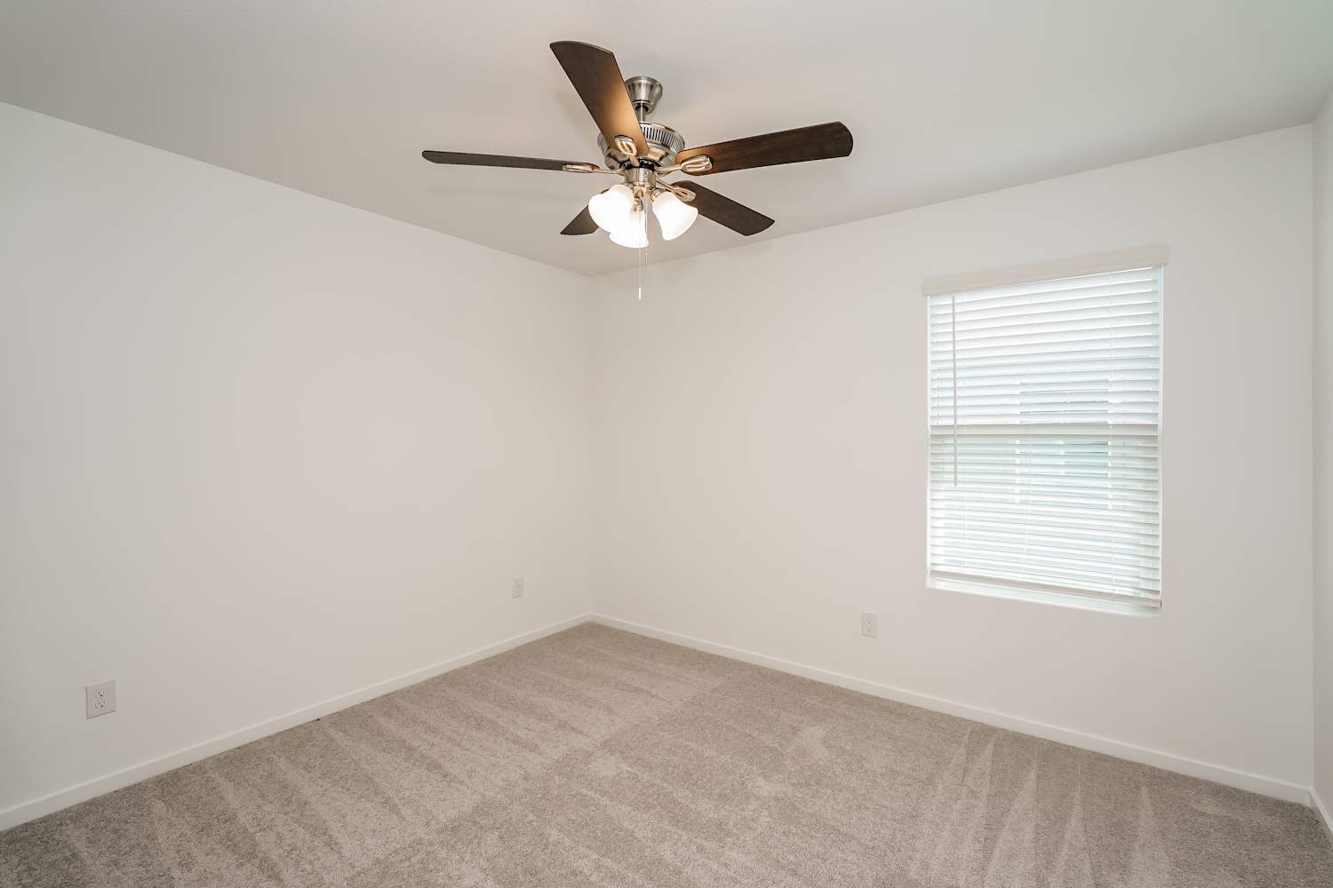 3113 Lynmar Lane, Fort Worth photo 13