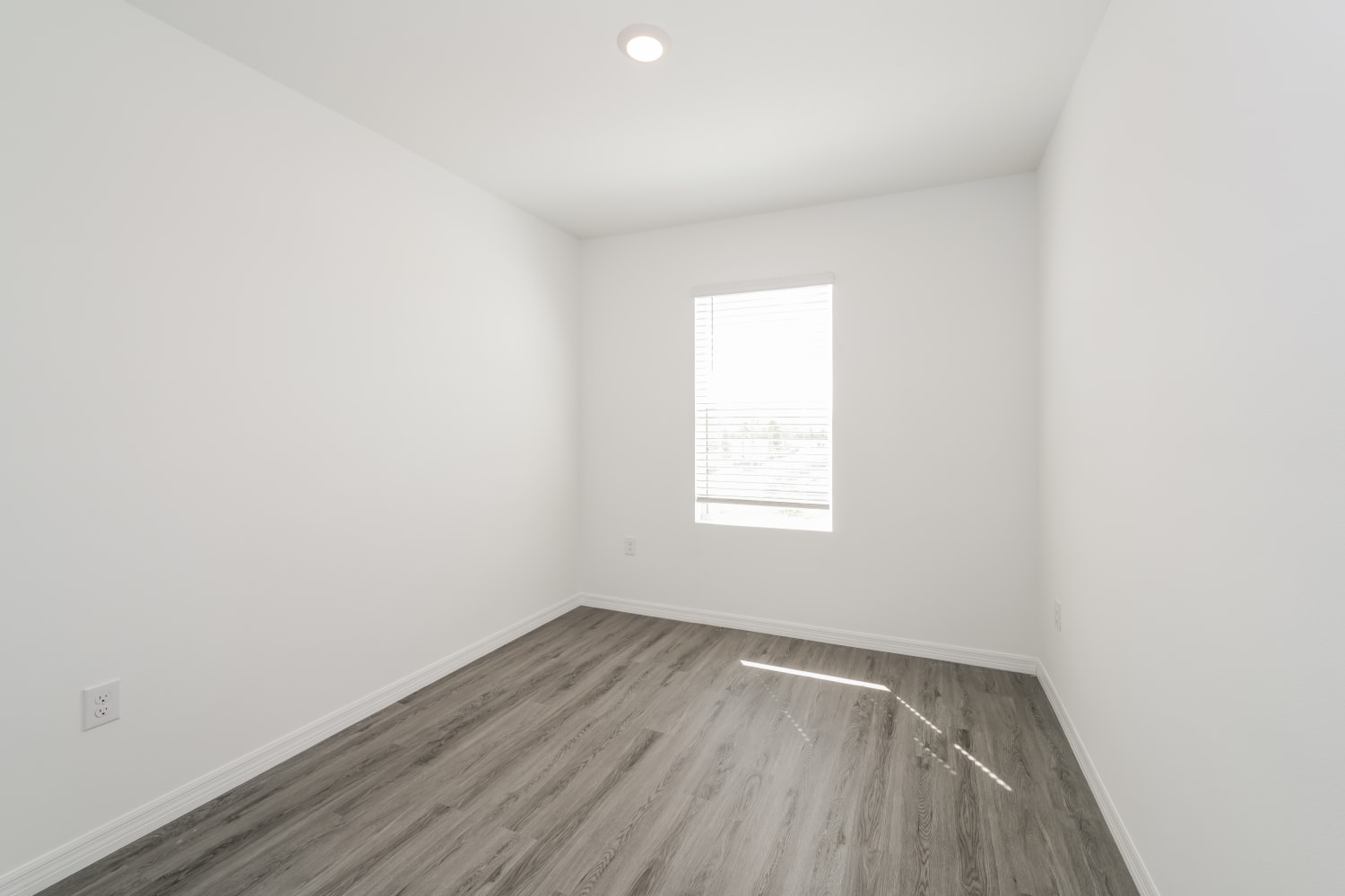 31177 Monterey Pine St, Wesley Chapel photo 16