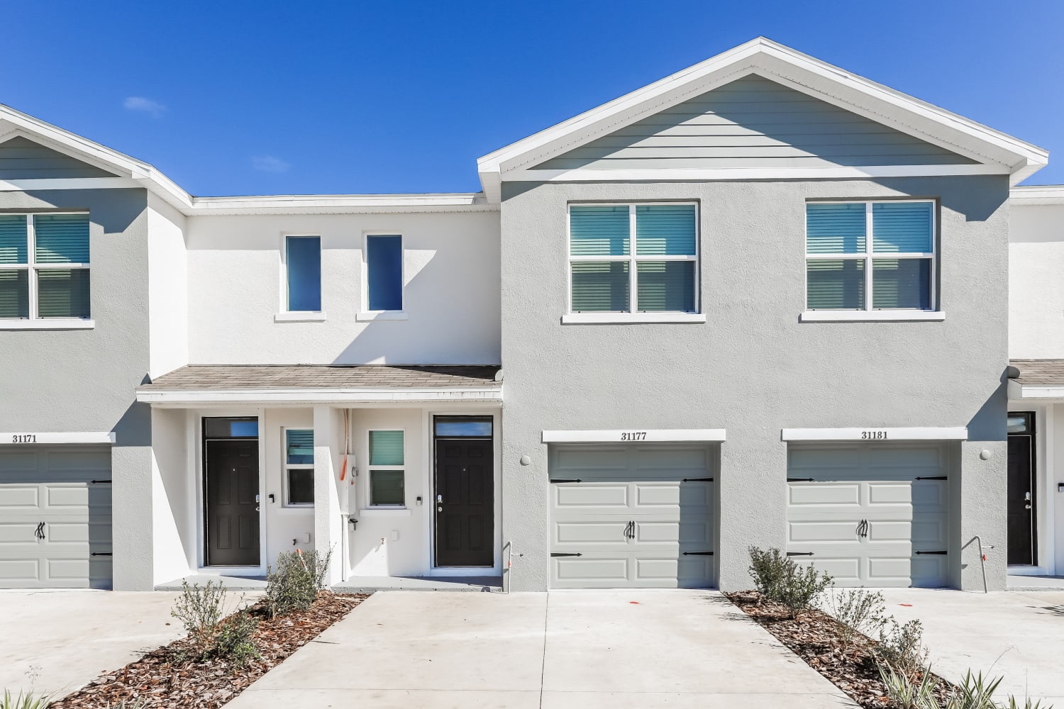 31177 Monterey Pine St, Wesley Chapel photo 1