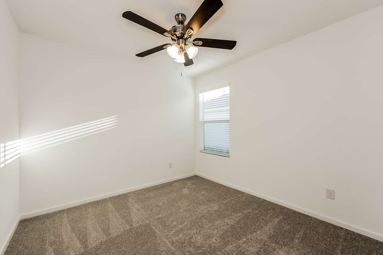 3125 Forchini Drive, Fort Worth photo 13