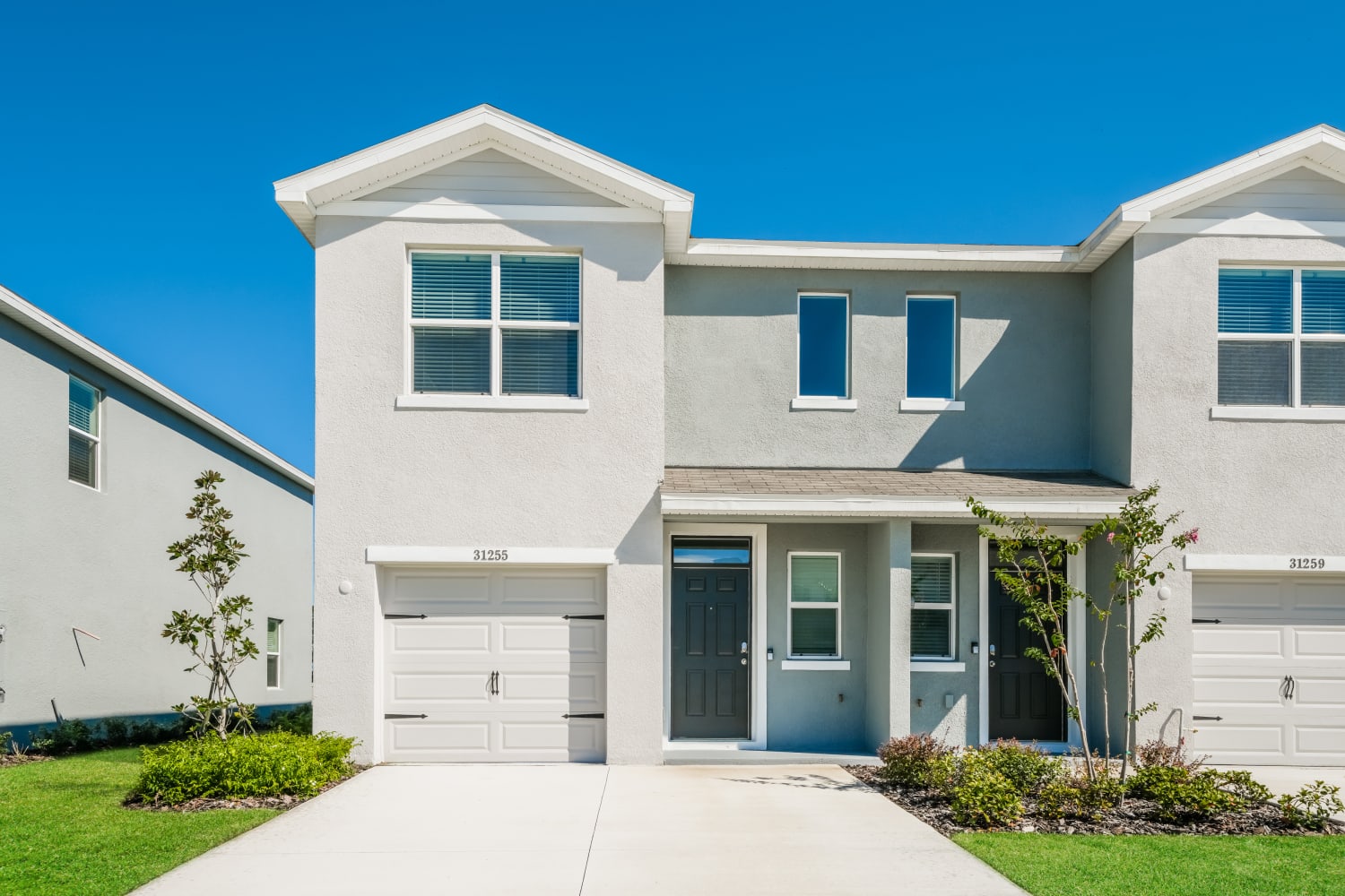 31255 Monterey Pine St, Wesley Chapel photo 1