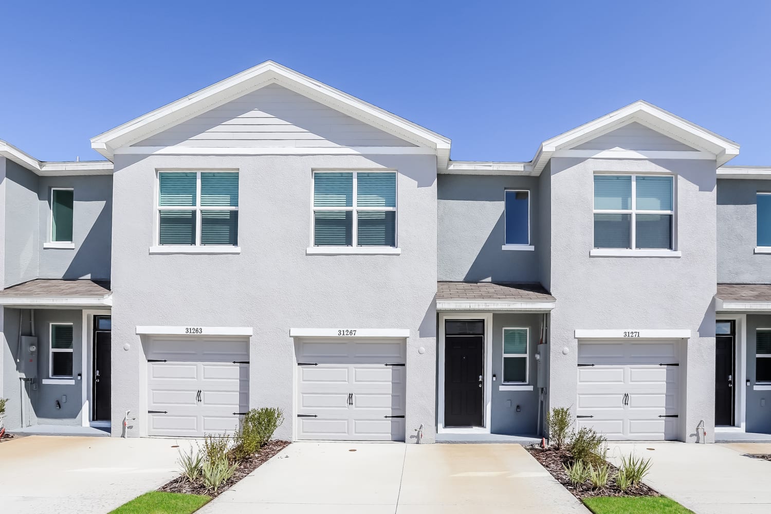 31267 Monterey Pine St, Wesley Chapel photo 1