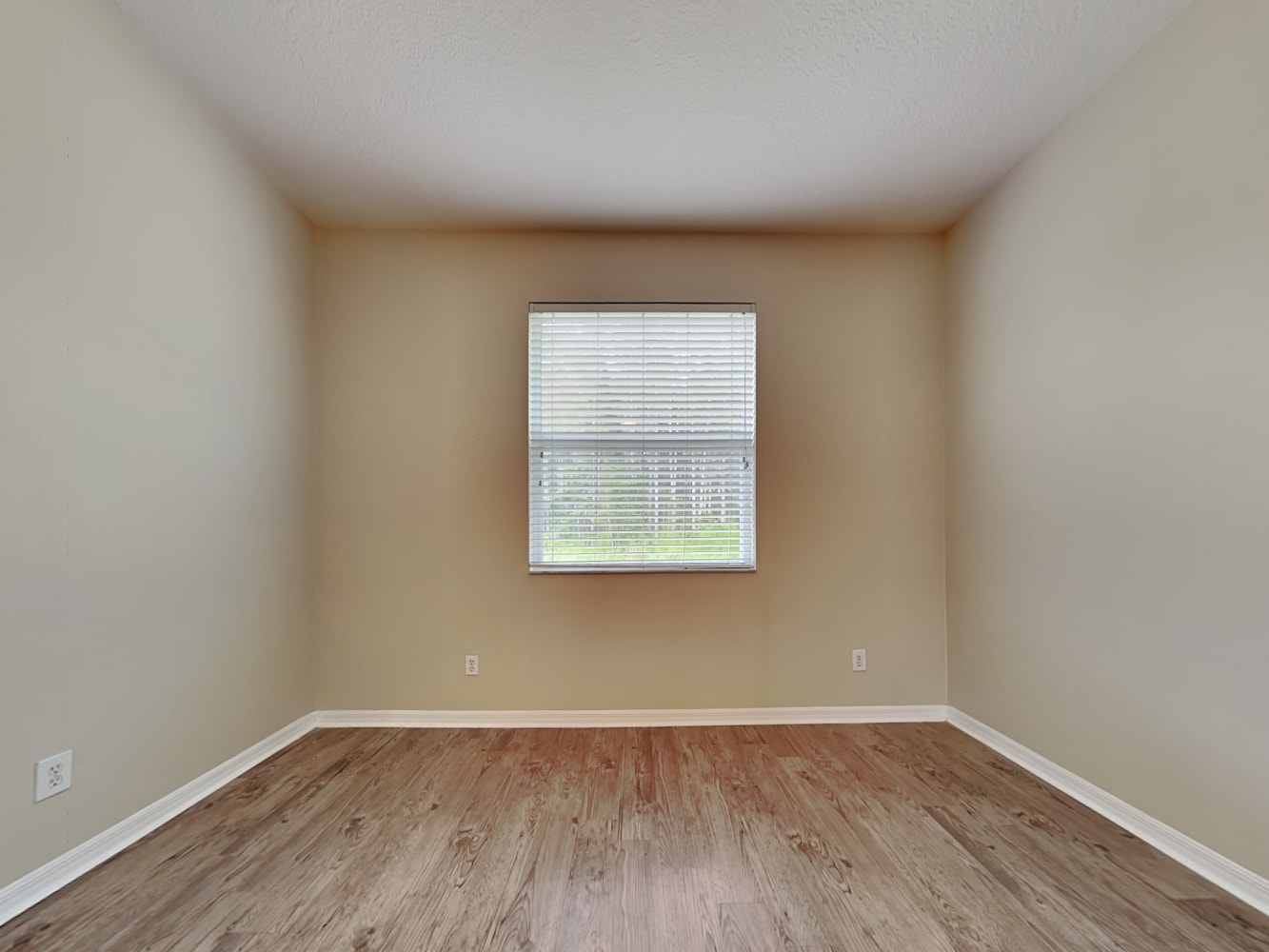 3142 Gianna Way, Land O Lakes photo 13