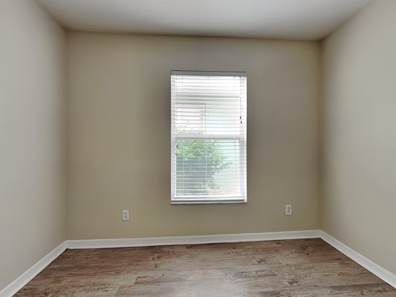 3142 Gianna Way, Land O Lakes photo 17