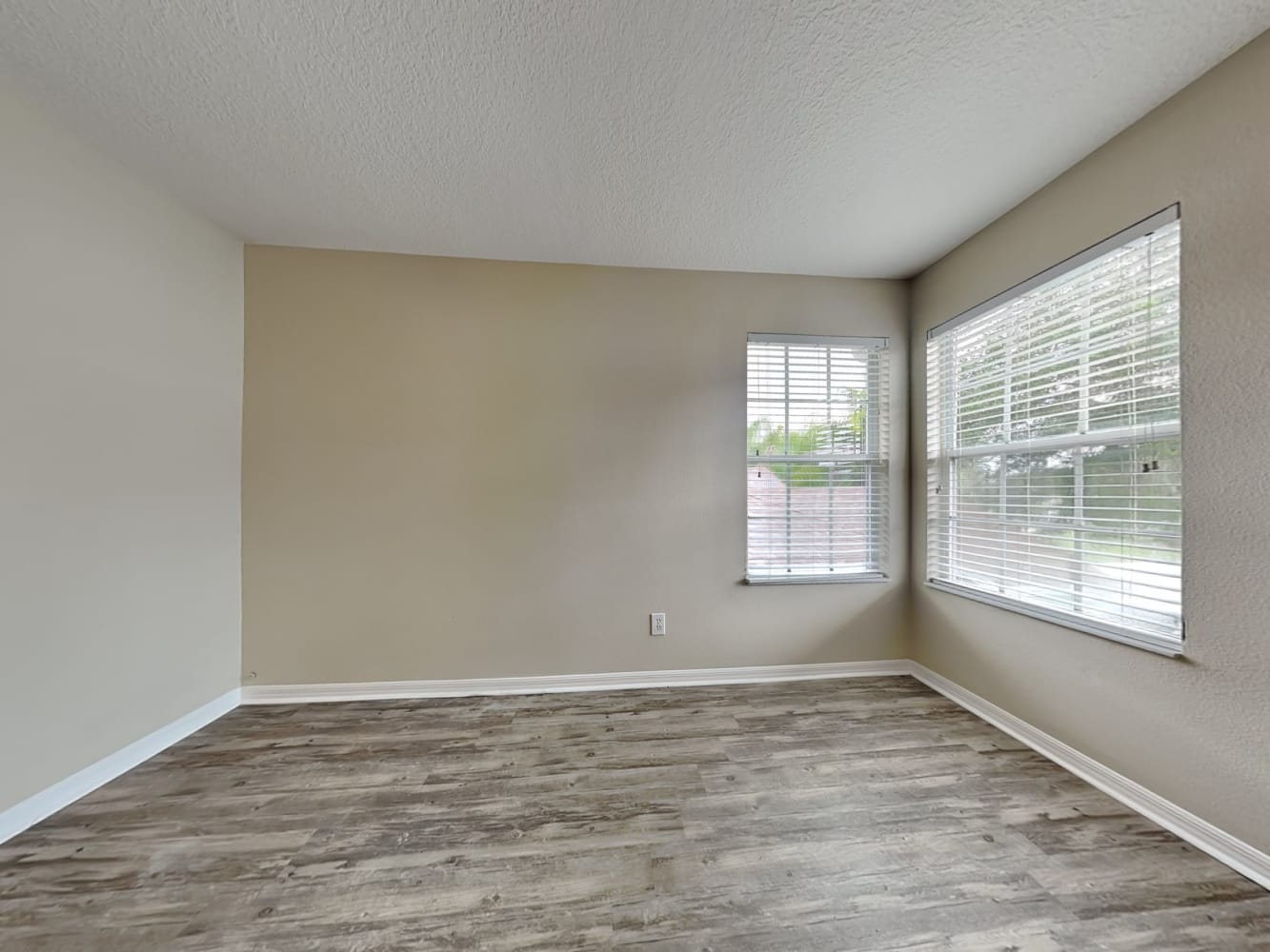 3142 Gianna Way, Land O Lakes photo 20