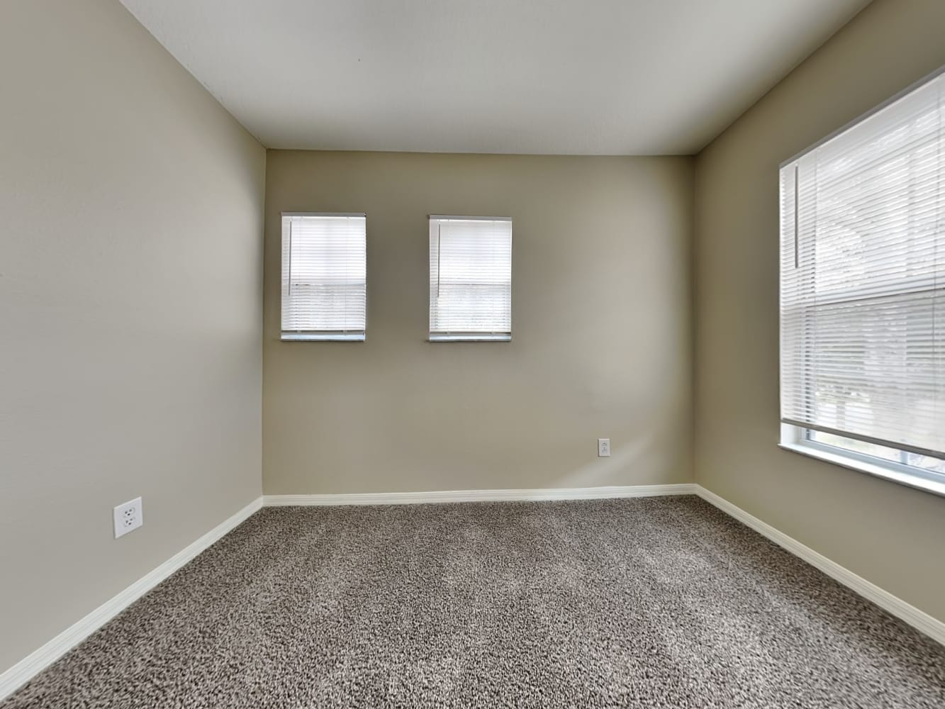 31702 Spoonflower Cir, Zephyrhills photo 15