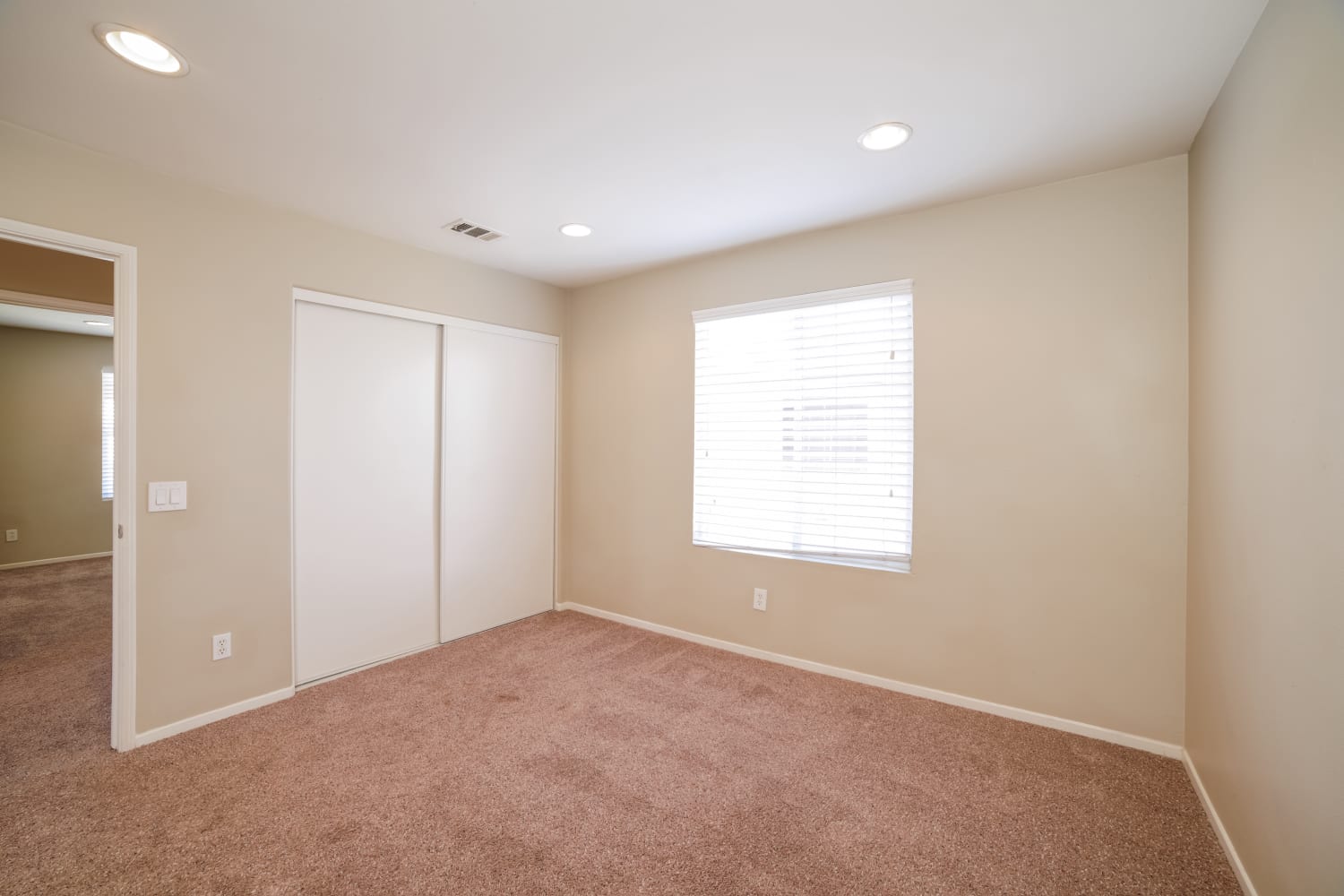 32317 Shallot Ct, Winchester photo 11
