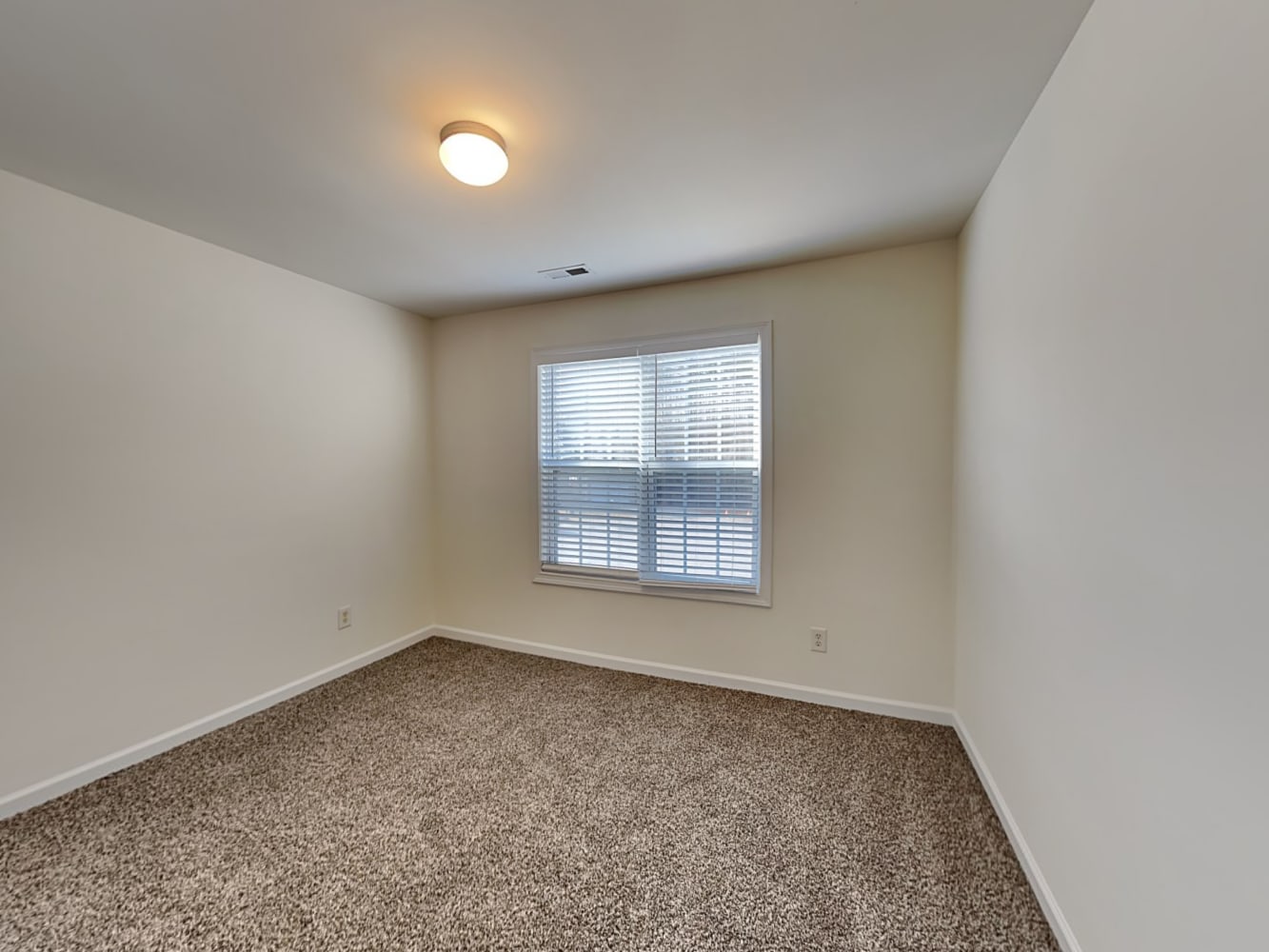 3239 Polite Ln, Raleigh photo 12