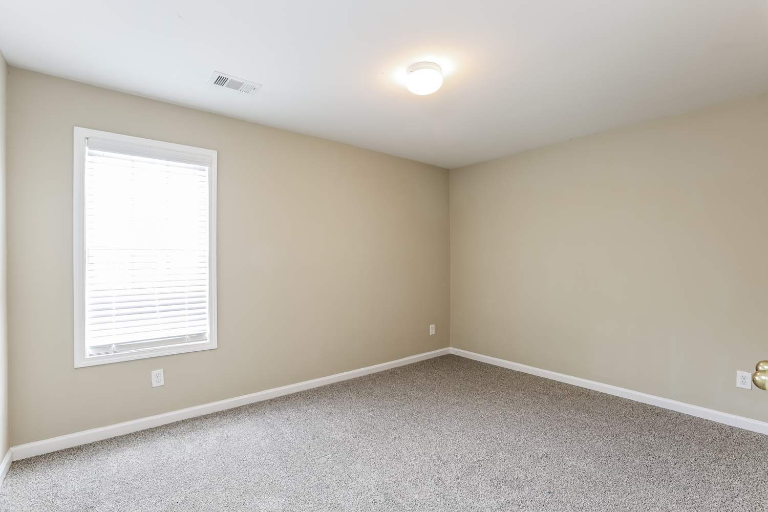 3252 Shady Valley Ct, Loganville photo 13