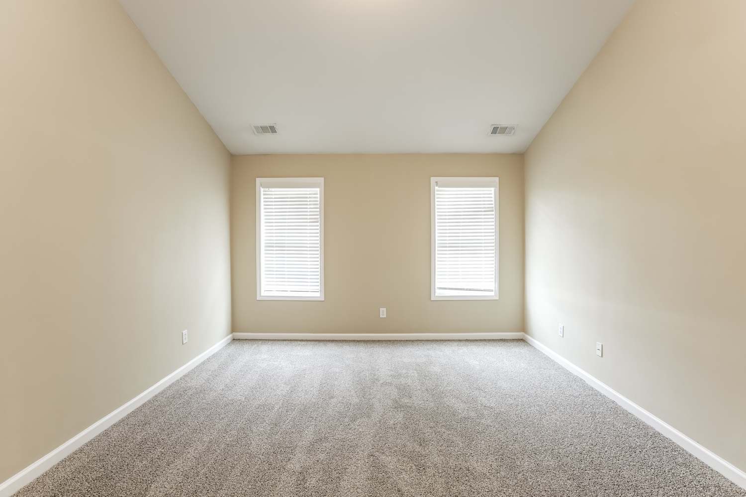 3252 Shady Valley Ct, Loganville photo 8