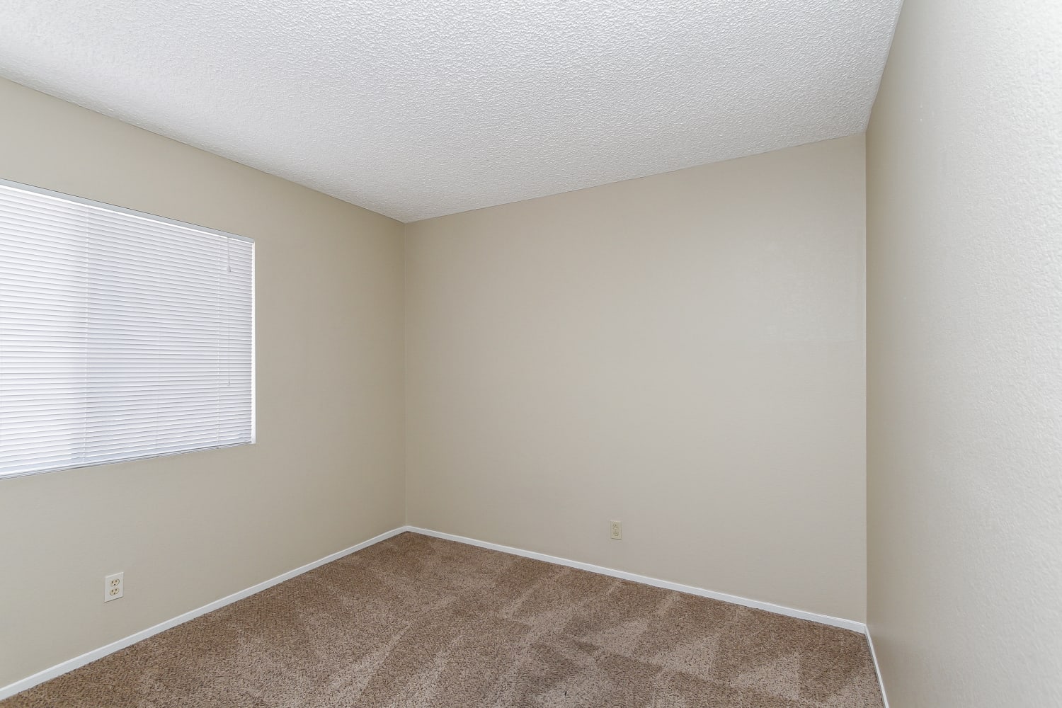 330 Templeton Dr, Henderson photo 11