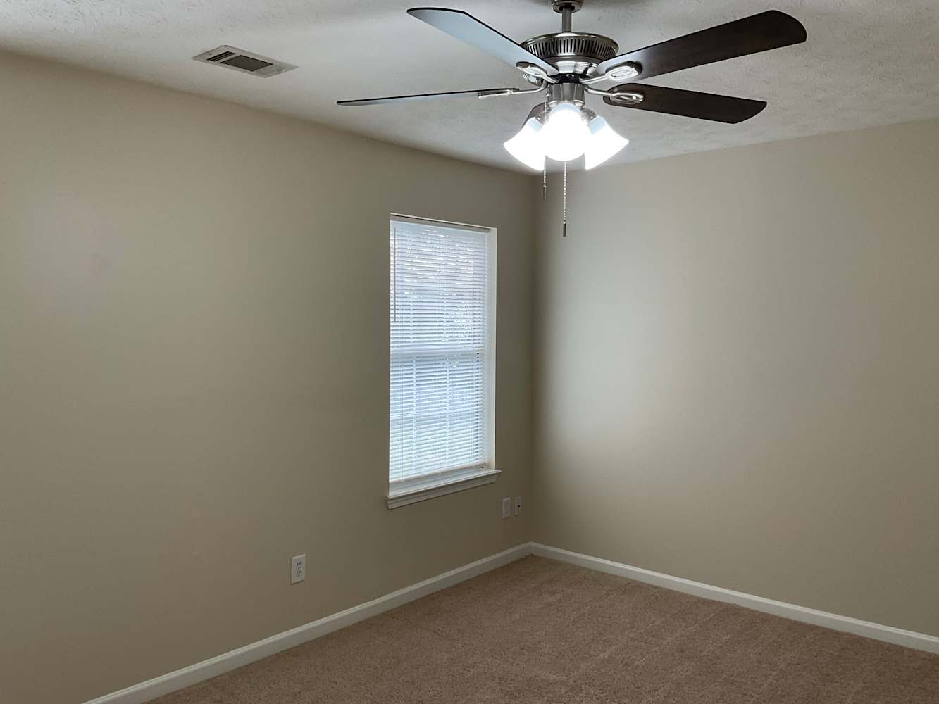 331 Silver Springs Ln, Sugar Hill photo 11