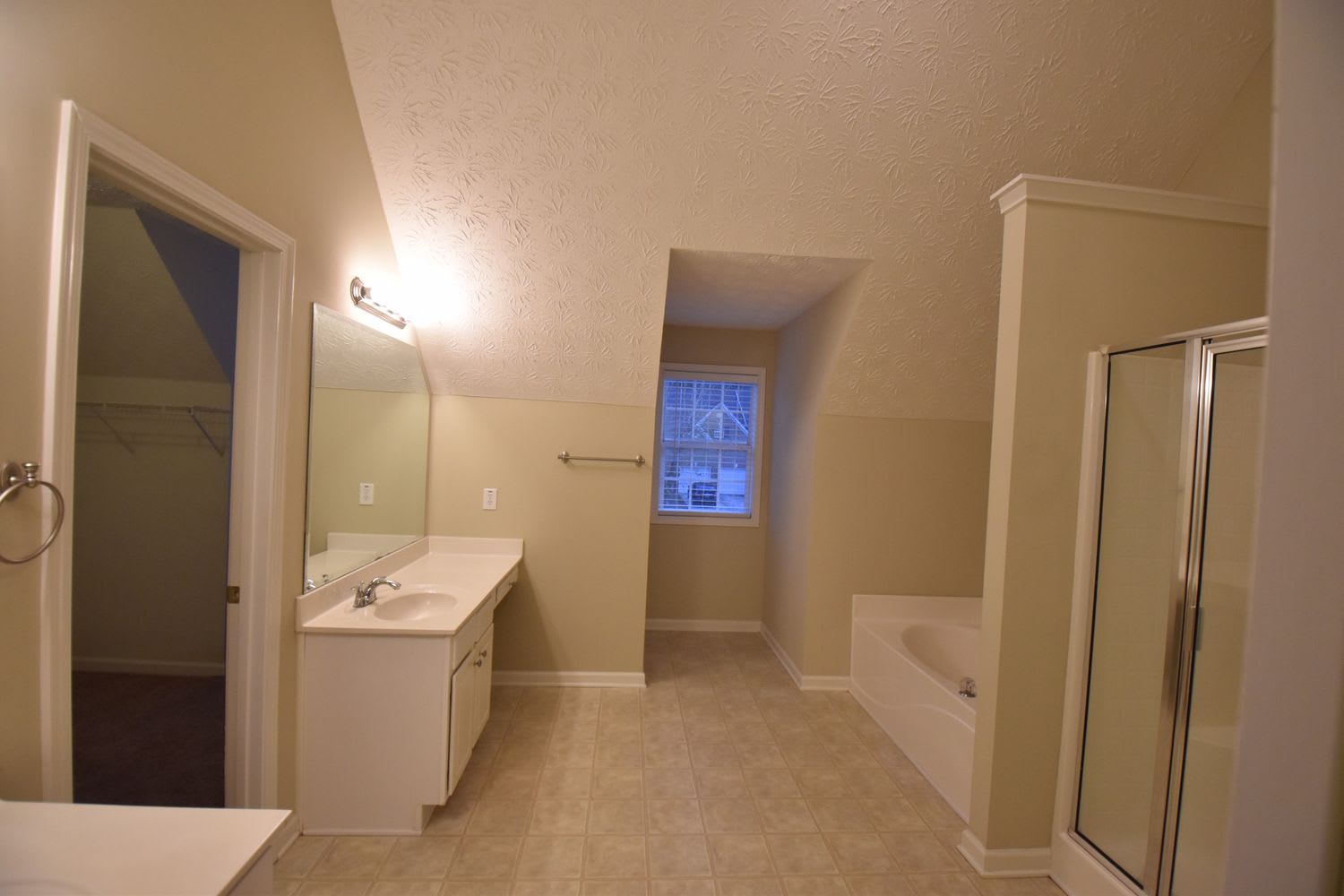 333 Interlake Pass, McDonough photo 8
