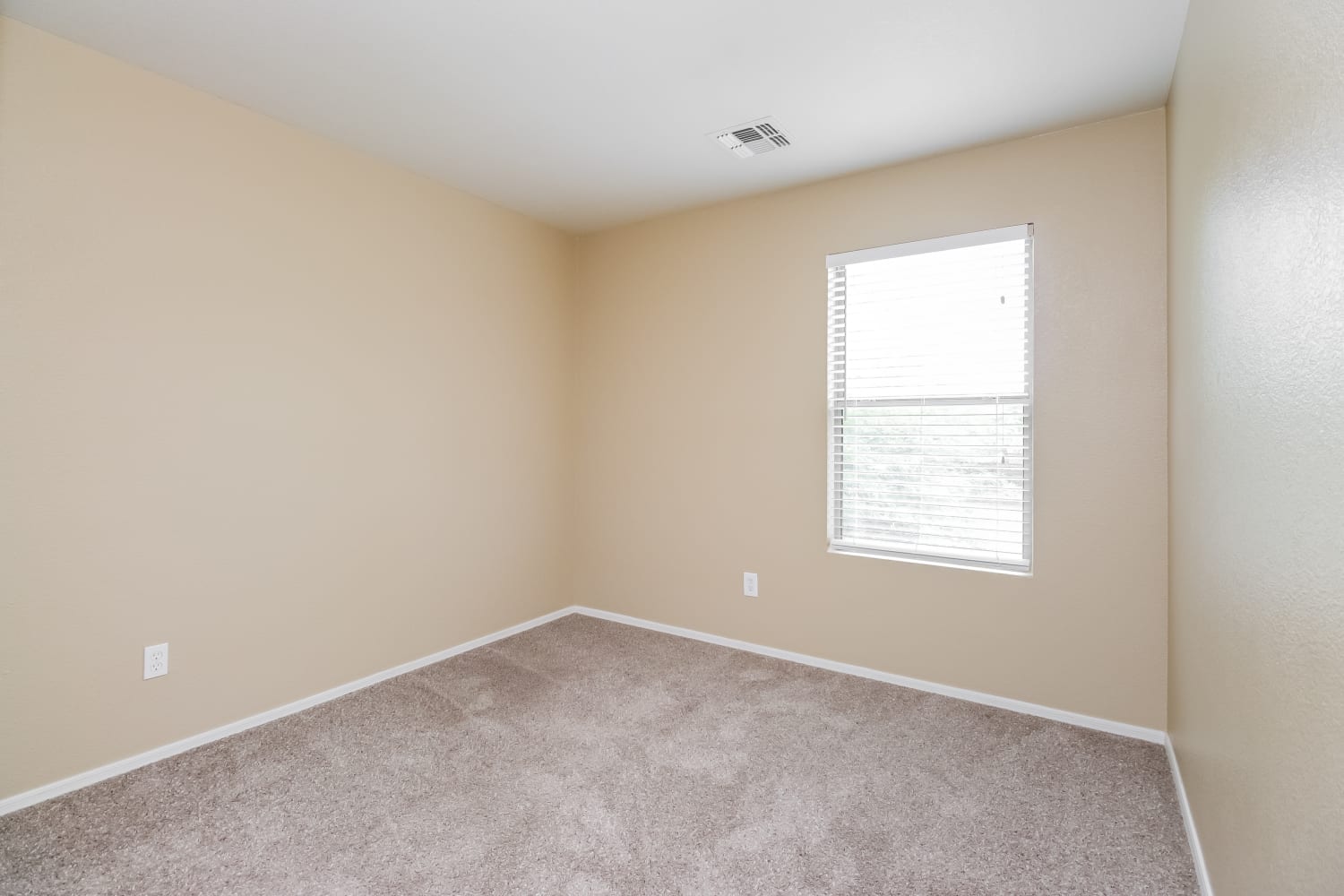 3339 S Chaparral Rd, Apache Junction photo 14