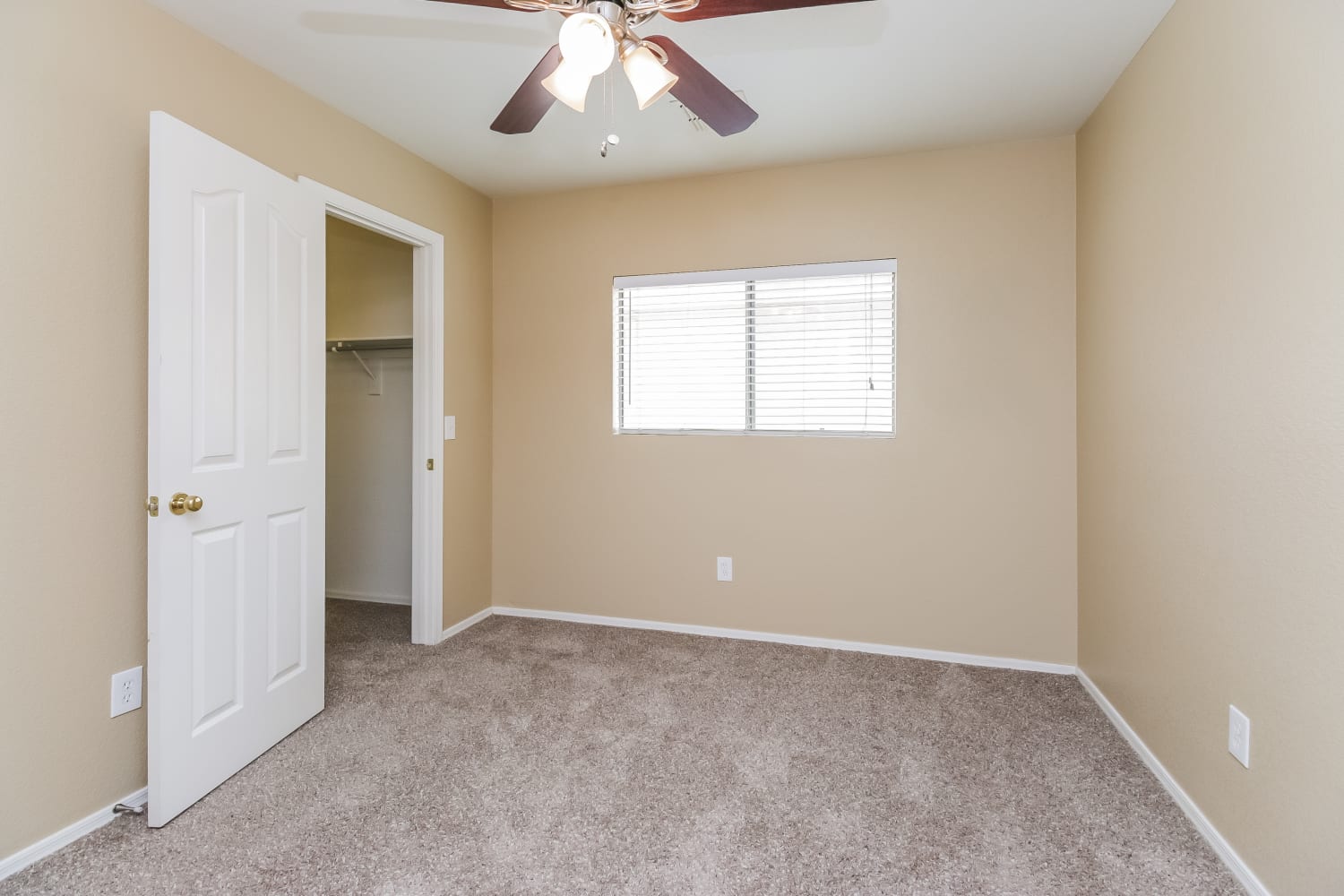 3339 S Chaparral Rd, Apache Junction photo 13