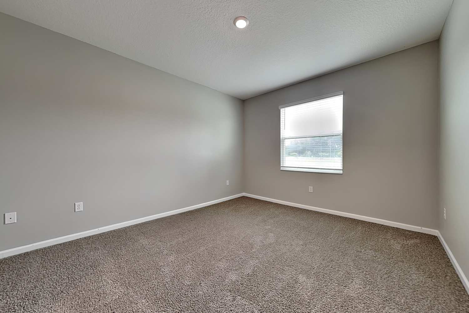 339 Macarthur St, Bartow photo 9