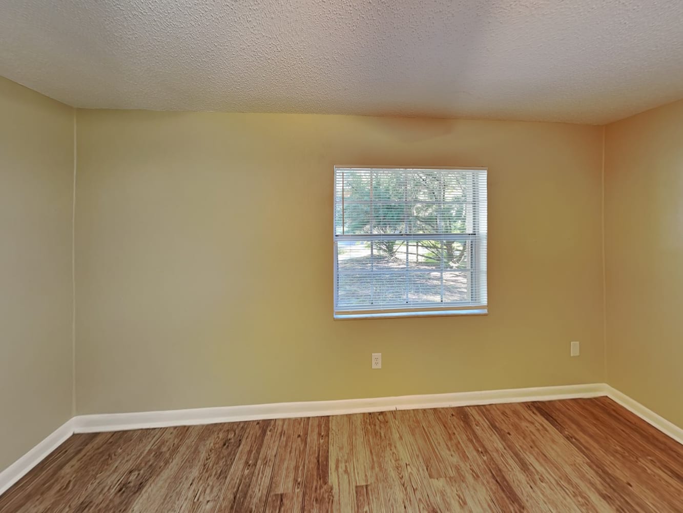 340 Micanopy Ct, Casselberry photo 12