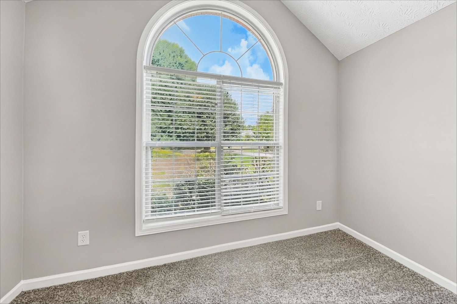3407 Millash Trl, Buford photo 15