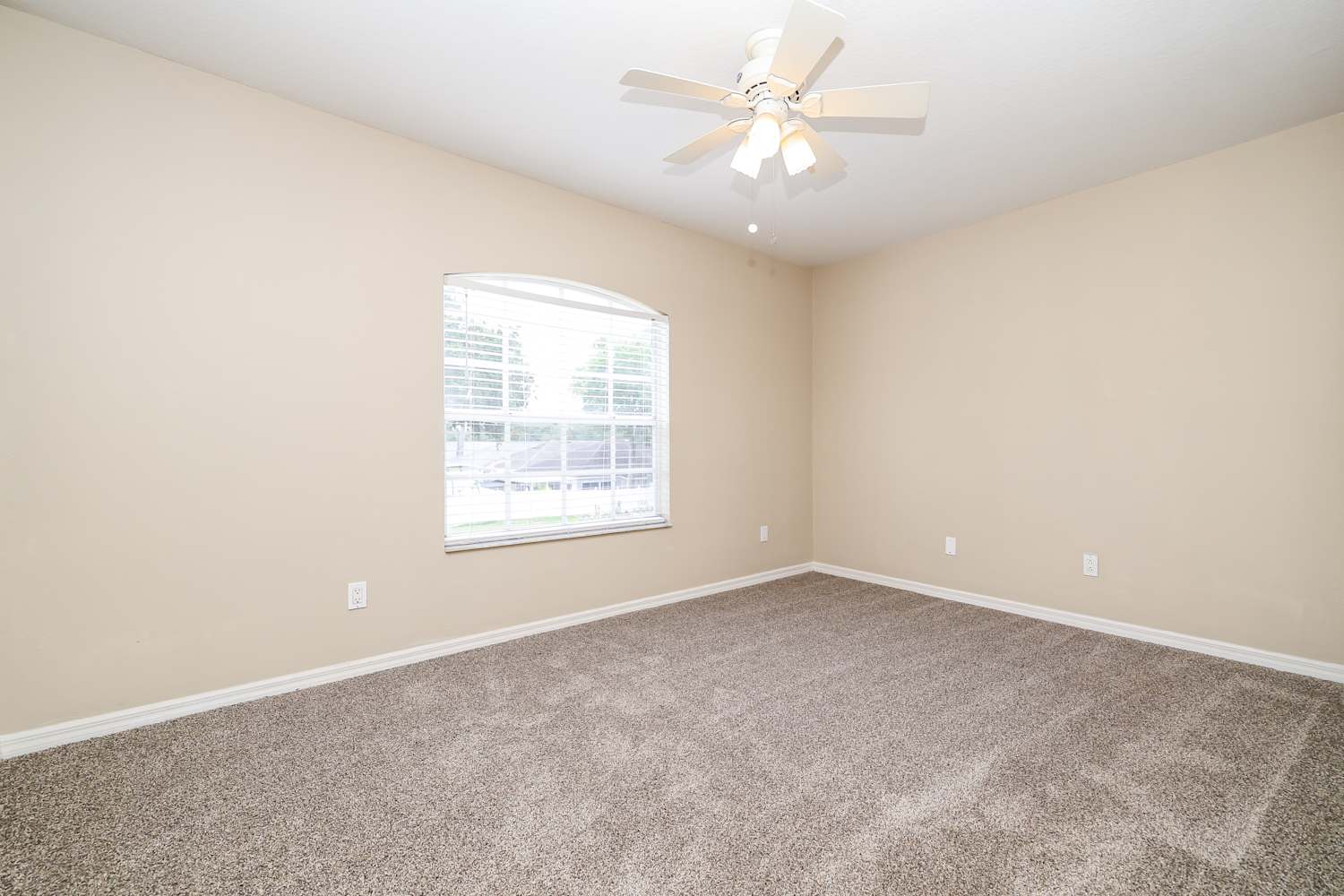 3409 Gray Whetstone St, Brandon photo 12