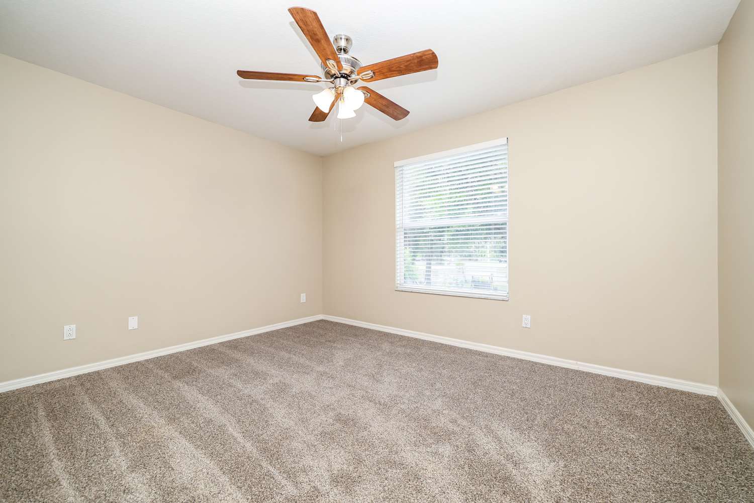 3409 Gray Whetstone St, Brandon photo 13
