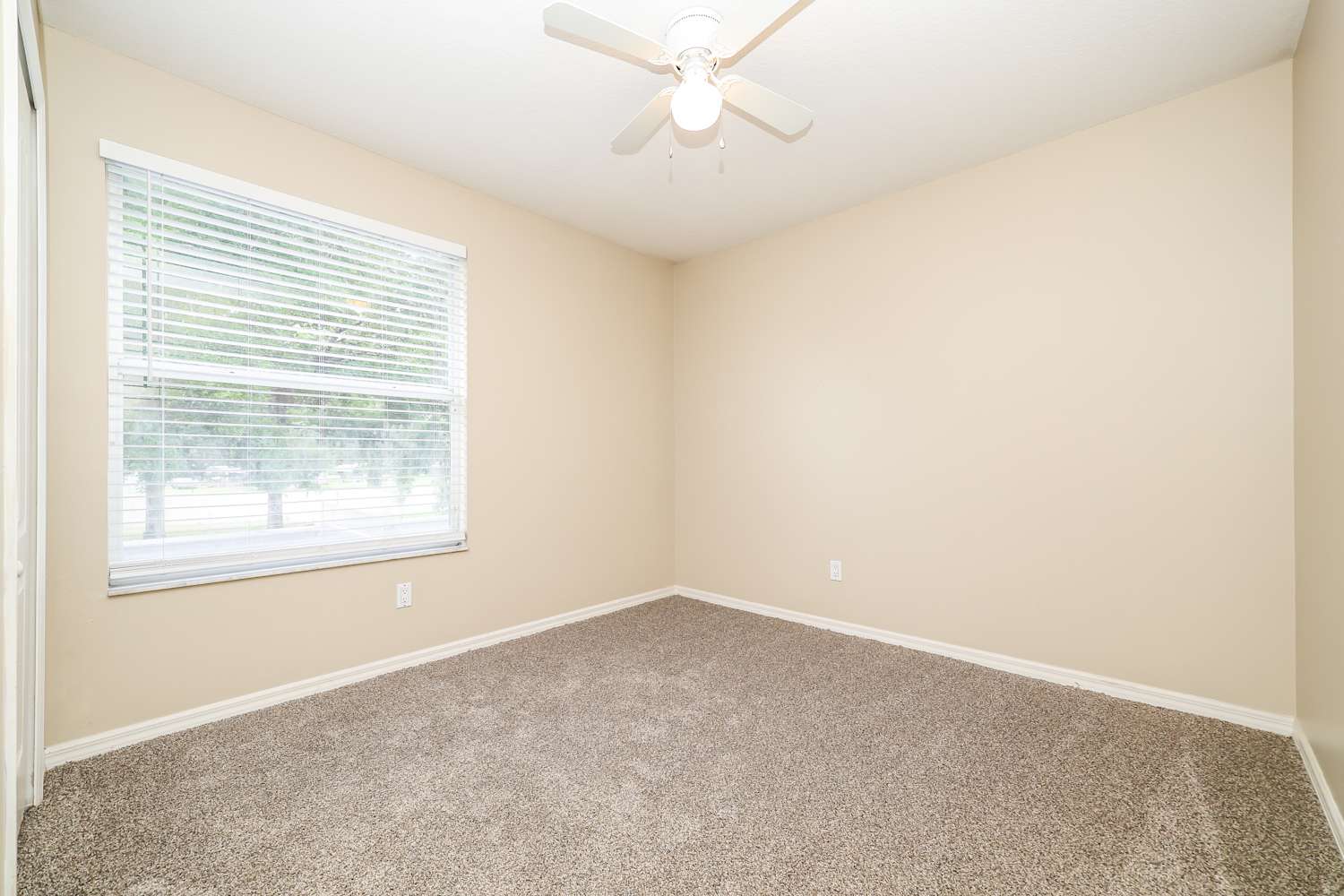 3409 Gray Whetstone St, Brandon photo 11