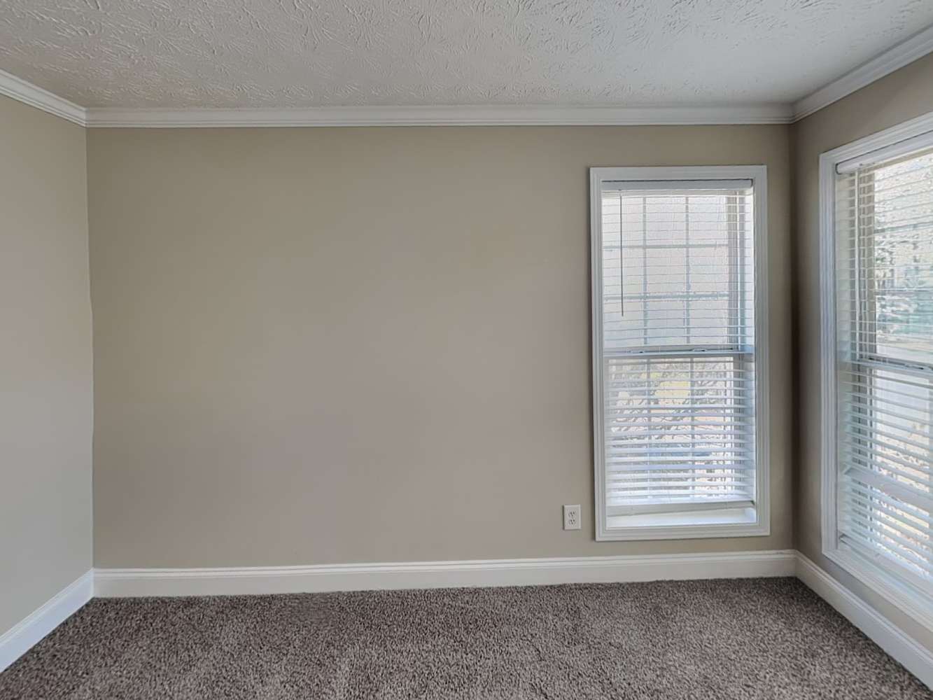 341 Paper Woods Dr, Lawrenceville photo 16