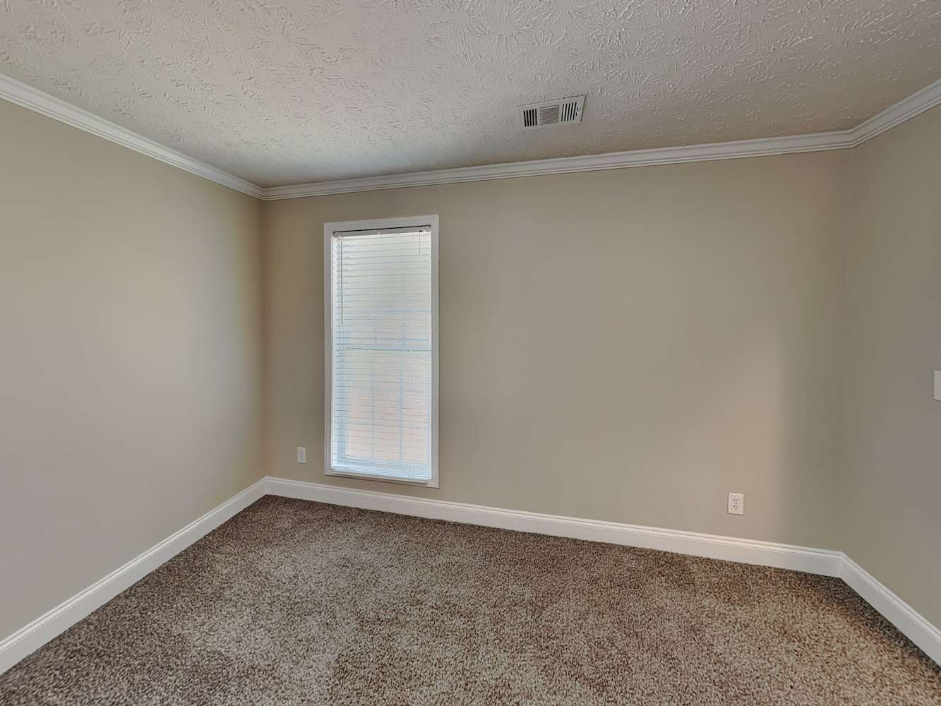 341 Paper Woods Dr, Lawrenceville photo 17