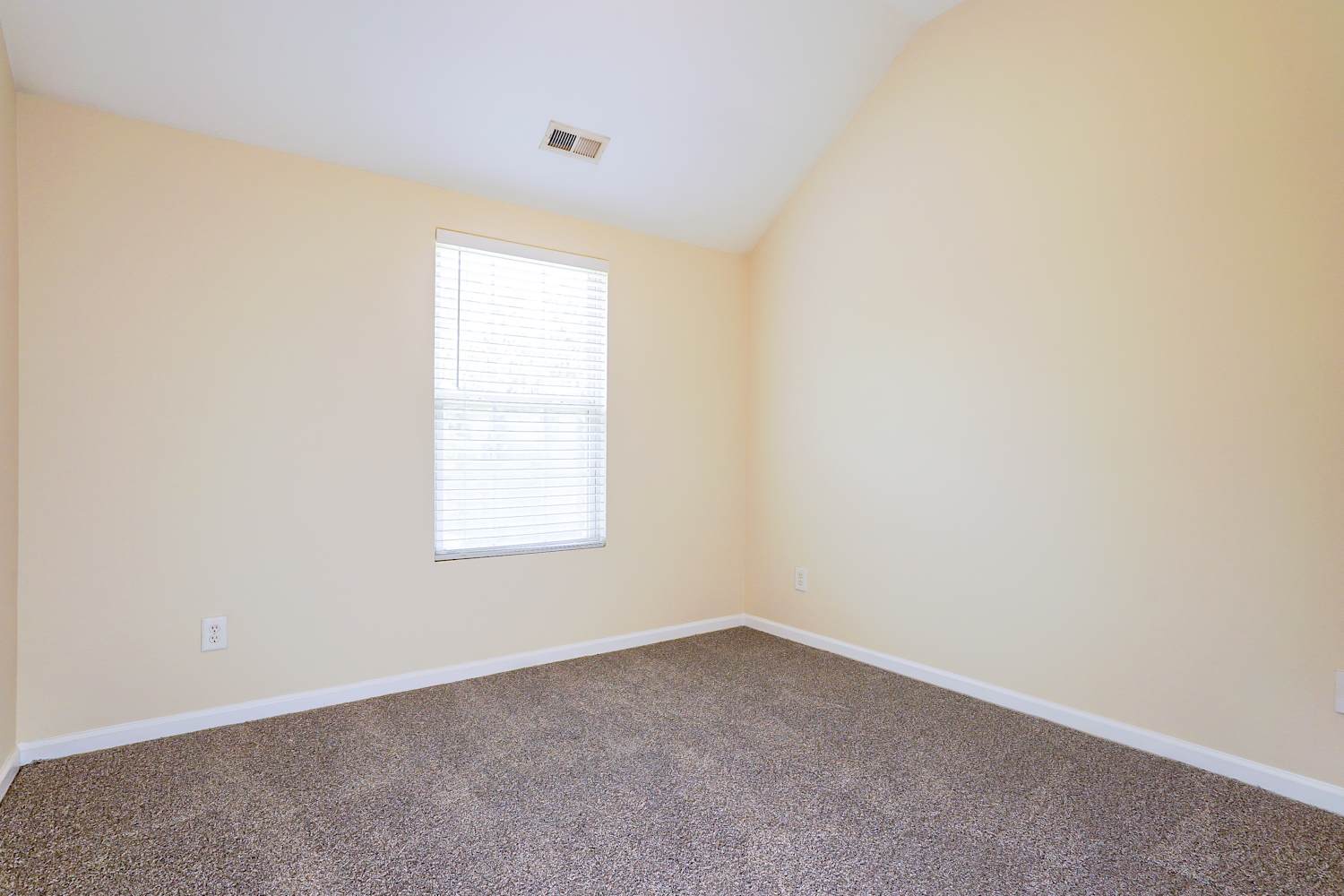3437 Ferdilah Ln, Raleigh photo 13