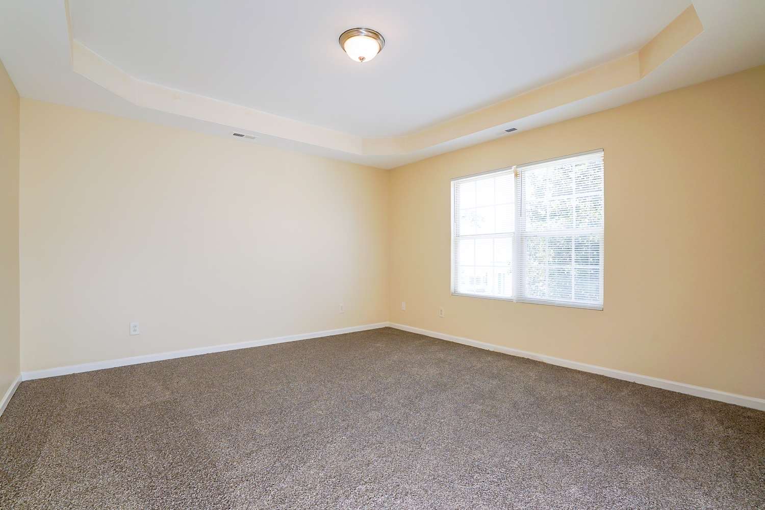 3437 Ferdilah Ln, Raleigh photo 11