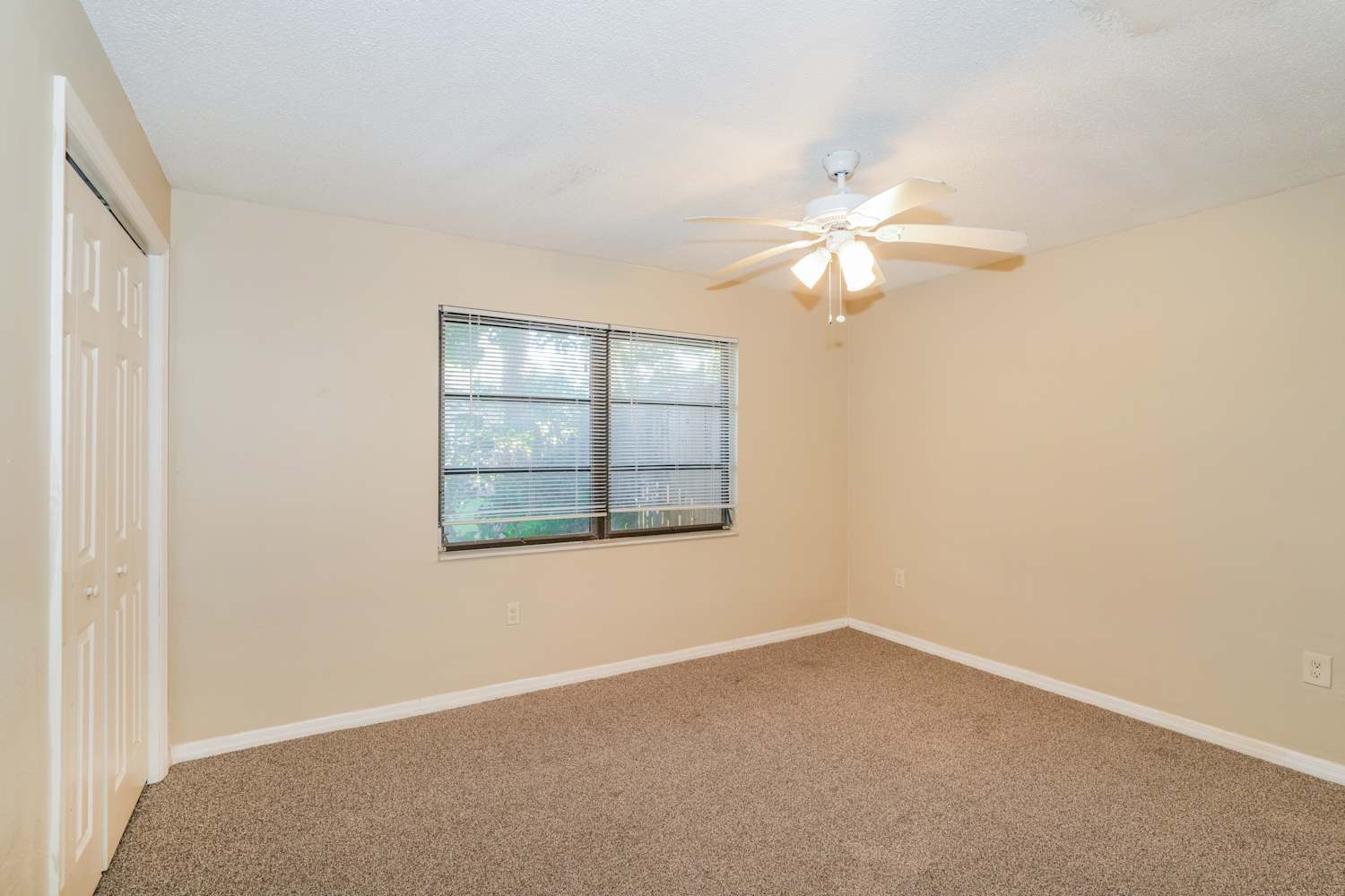 3448 Brian Rd S, Palm Harbor photo 13
