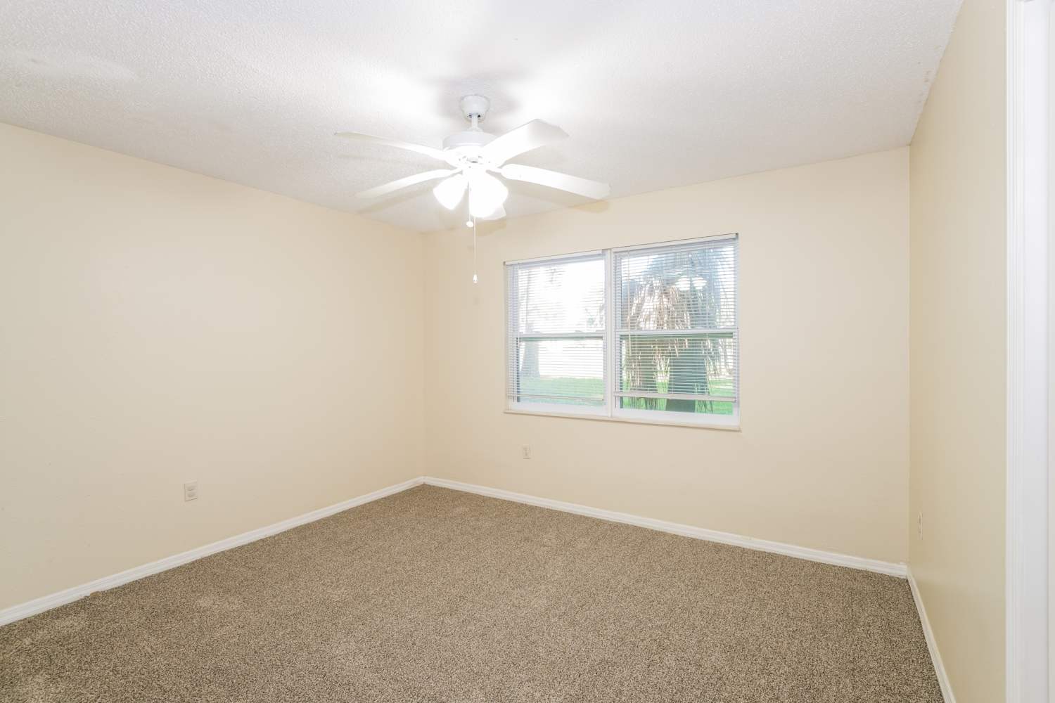 3448 Brian Rd S, Palm Harbor photo 14