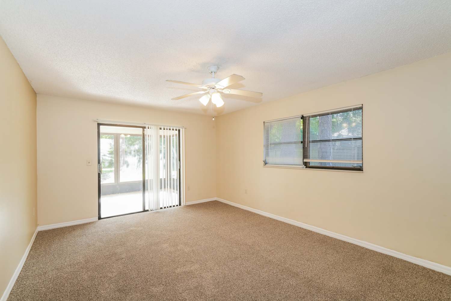 3448 Brian Rd S, Palm Harbor photo 10
