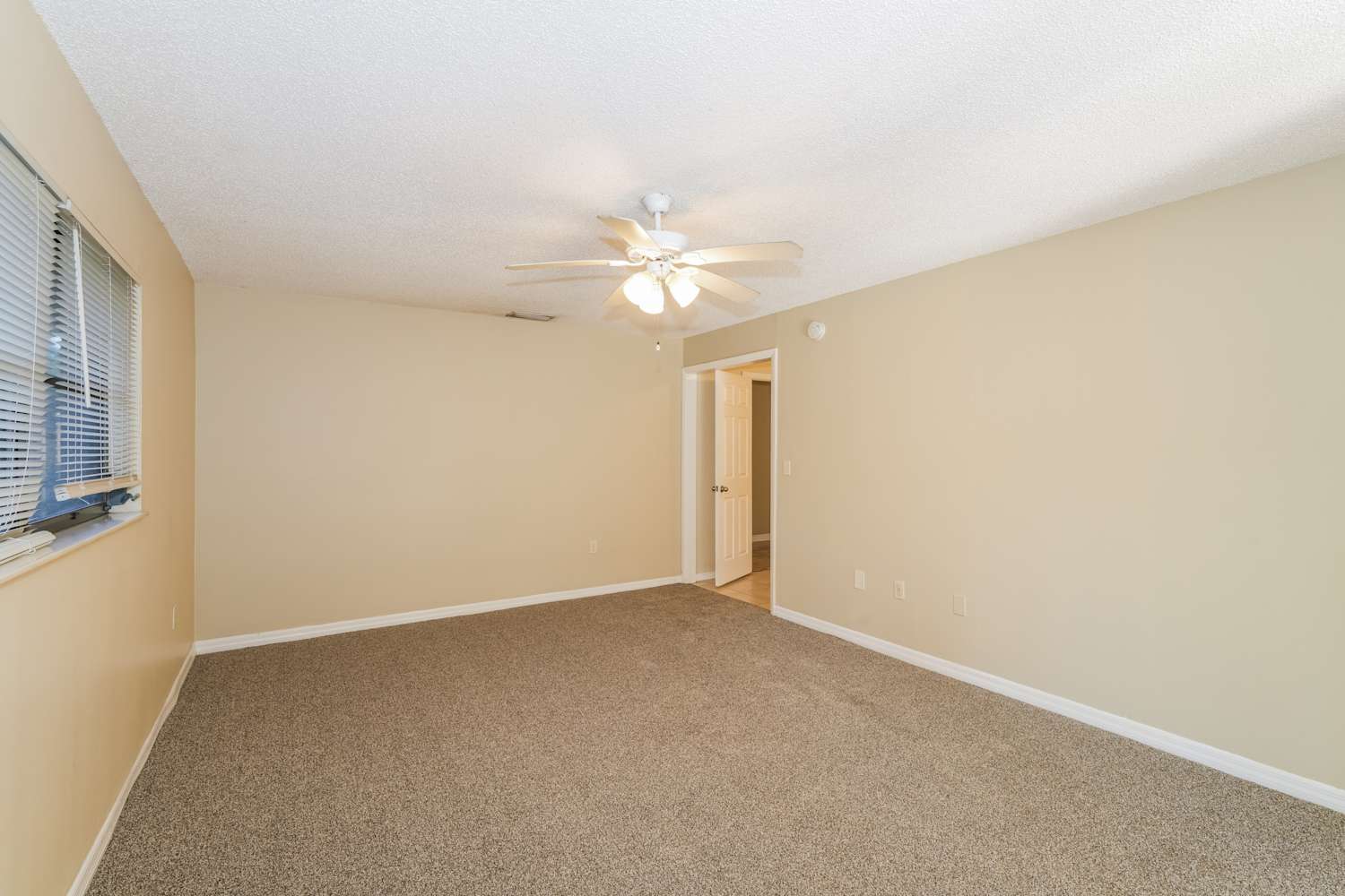 3448 Brian Rd S, Palm Harbor photo 11