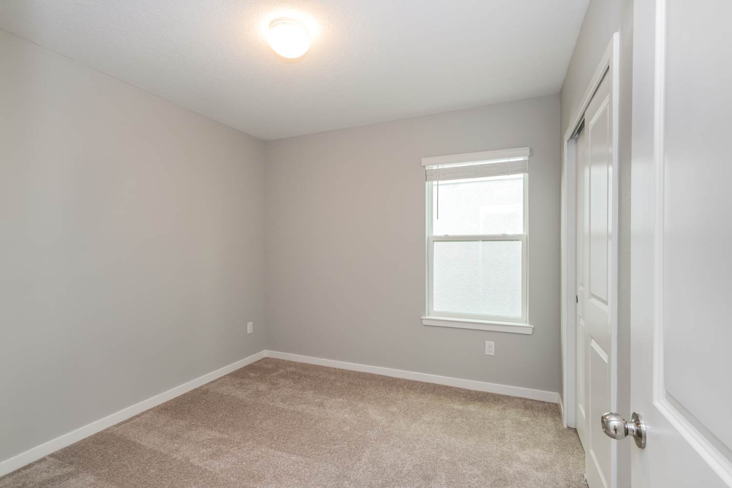 3529 Hornbeam Rd, Spring Hill photo 9