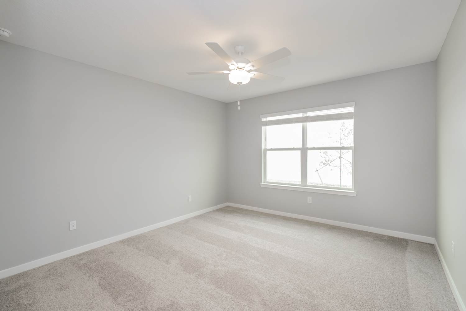 3603 Hornbeam Rd, Spring Hill photo 8